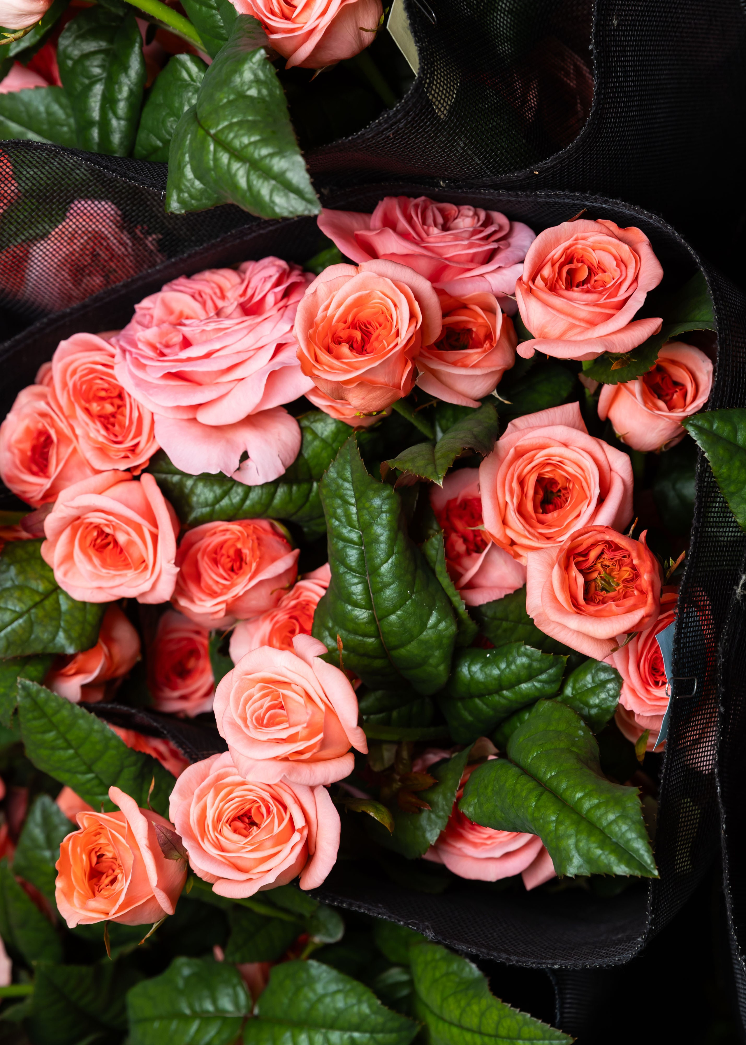 ЦВЕТЫ. ФОТОГРАФ ВИНОГРАДОВА ДАРЬЯ