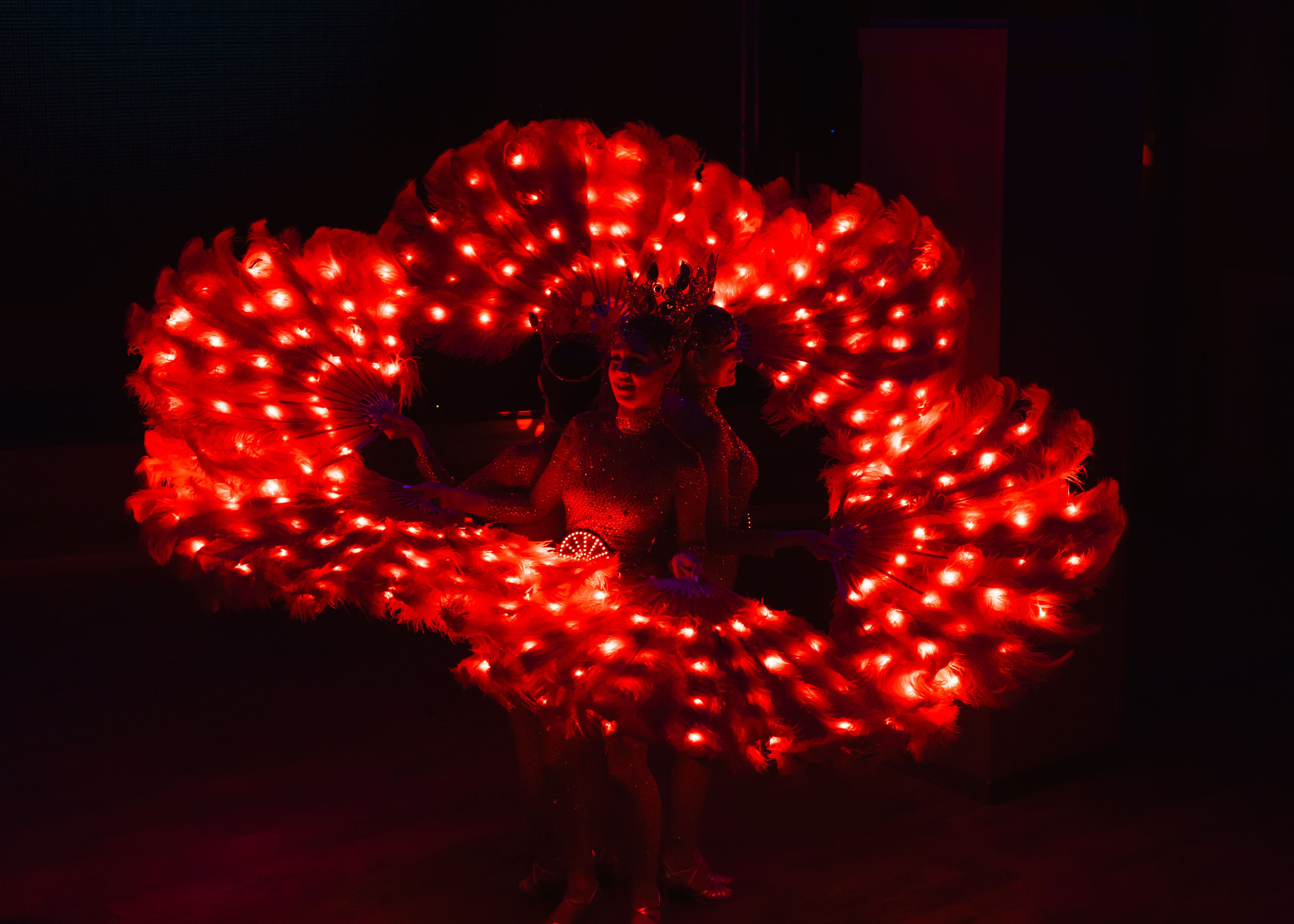 Предновогодка кипарис 2025. ФОТОГРАФ ВИНОГРАДОВА ДАРЬЯ