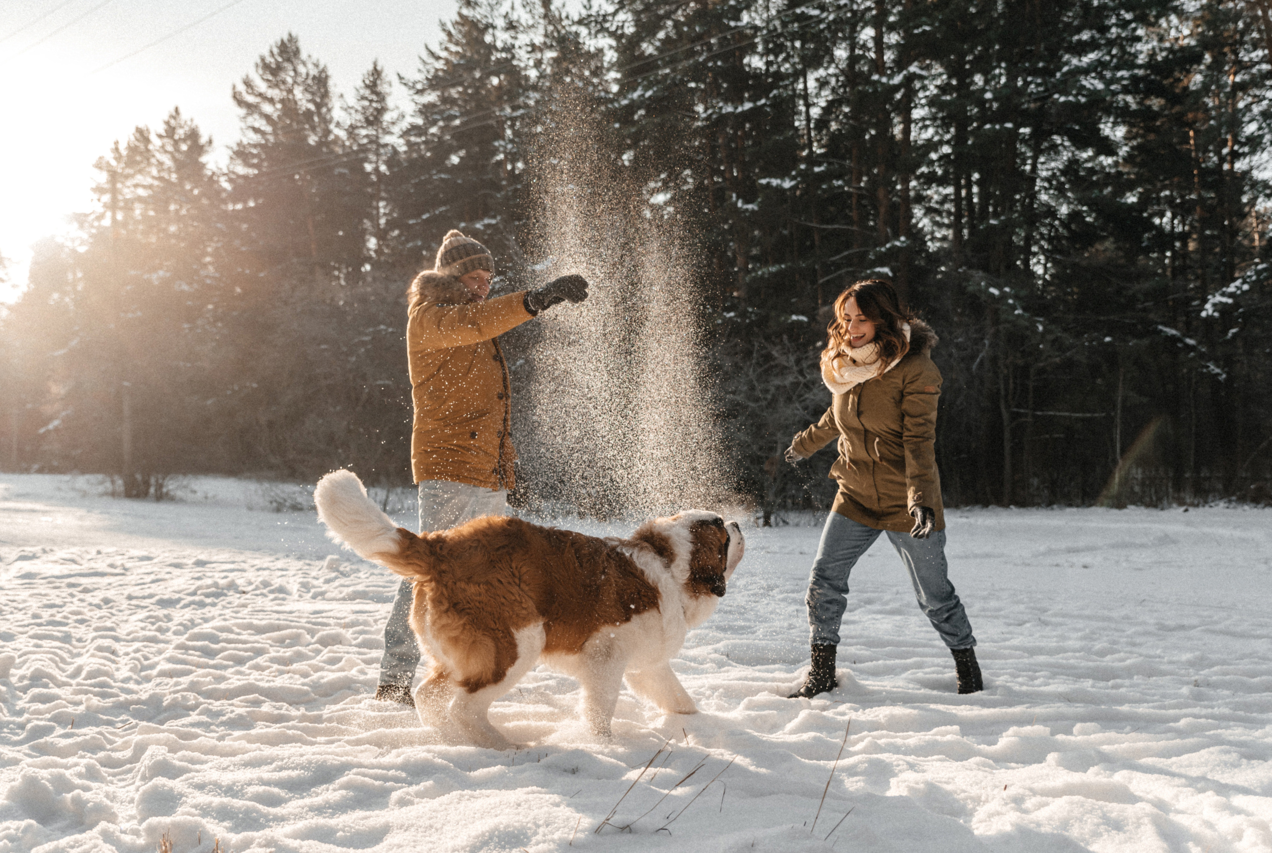 Федор, Алёна и Рон. Свадебный фотограф Амина Хомович