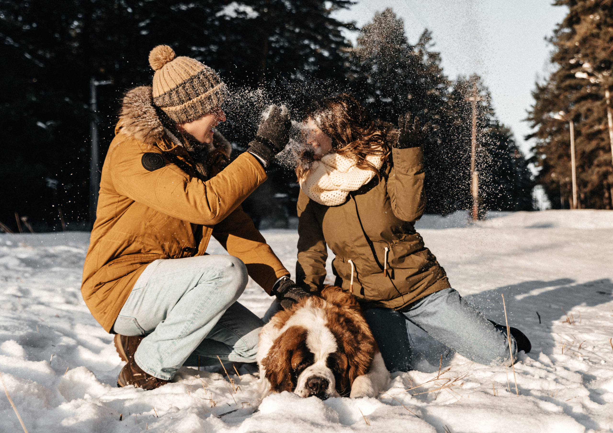 Федор, Алёна и Рон. Свадебный фотограф Амина Хомович