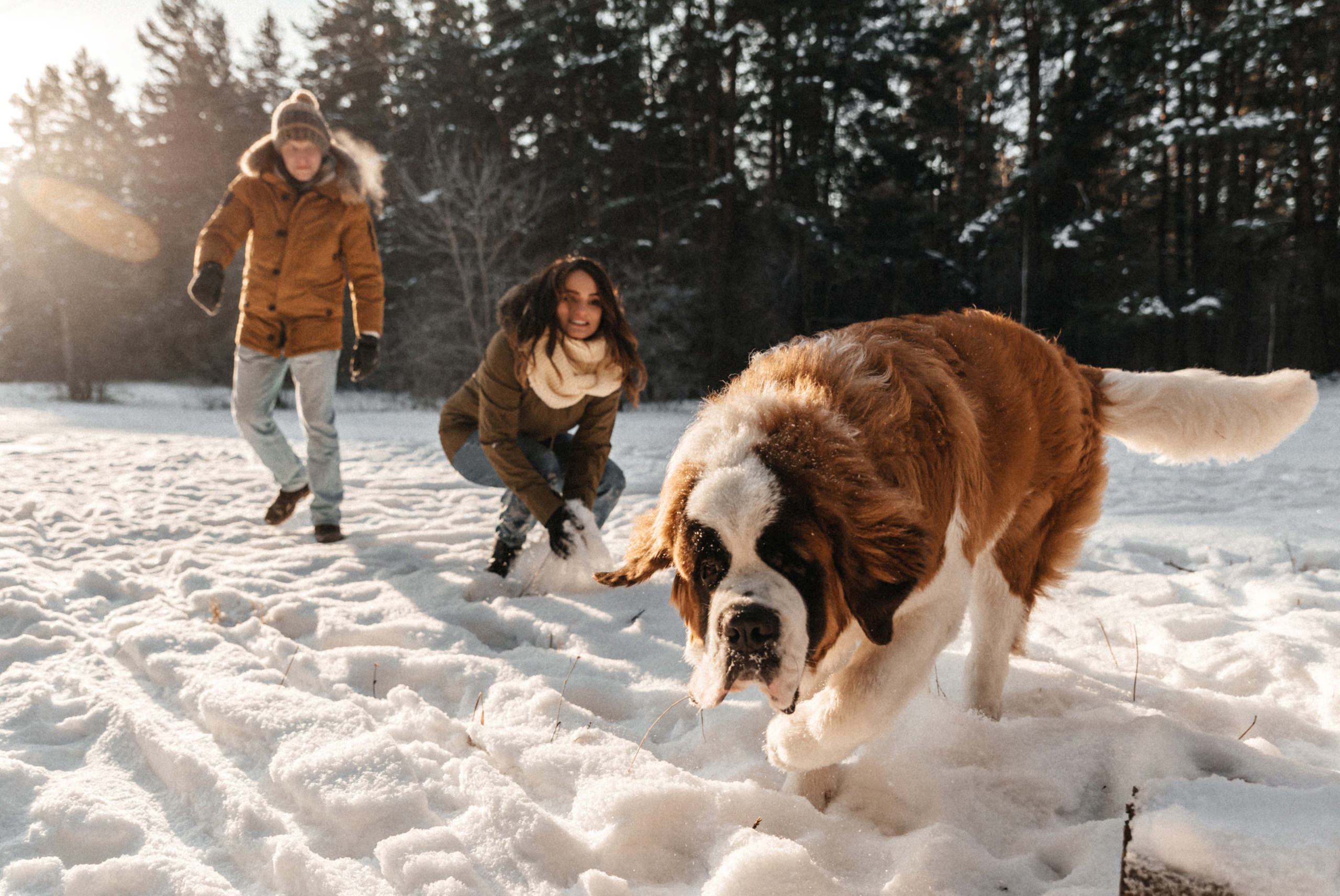 Федор, Алёна и Рон. Свадебный фотограф Амина Хомович