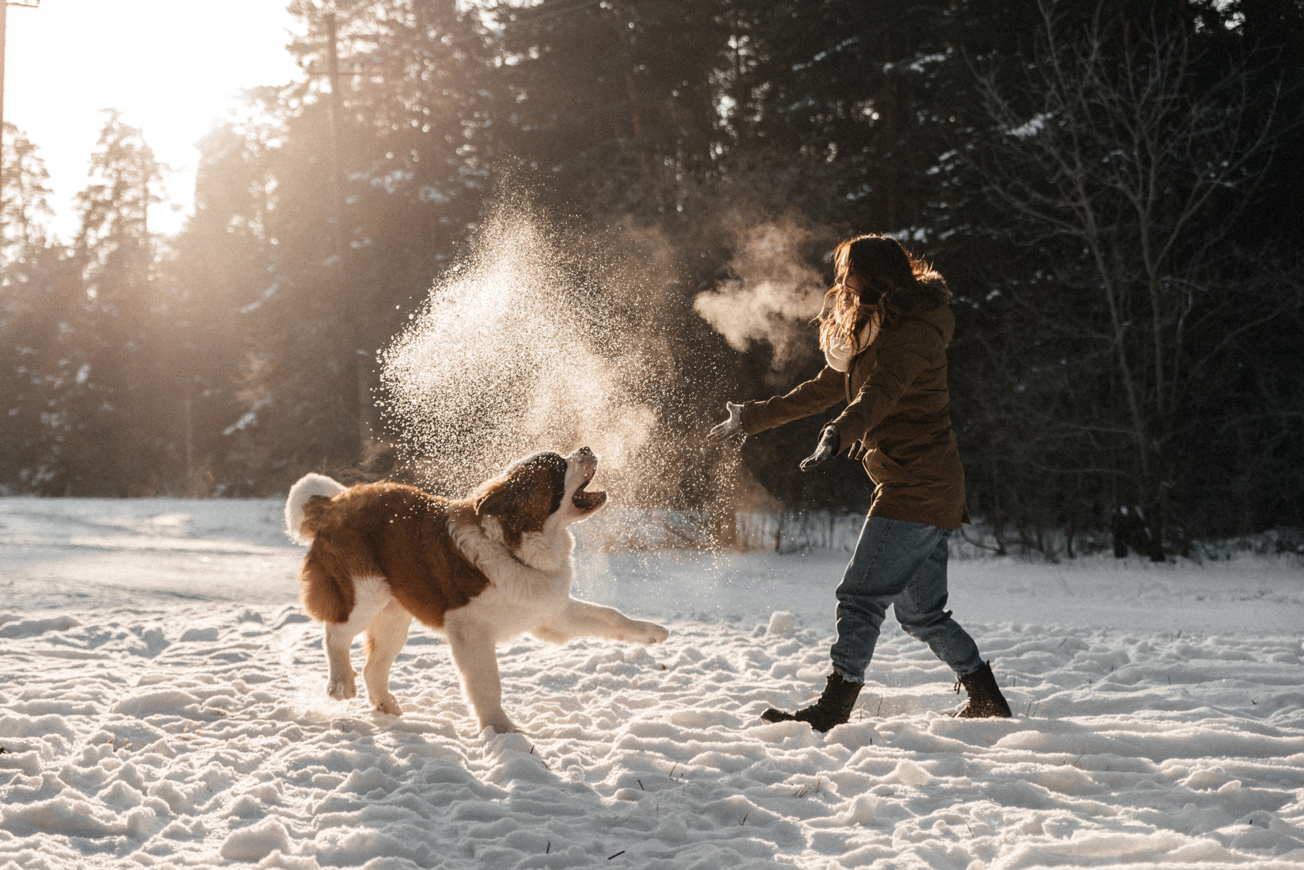 Федор, Алёна и Рон. Свадебный фотограф Амина Хомович