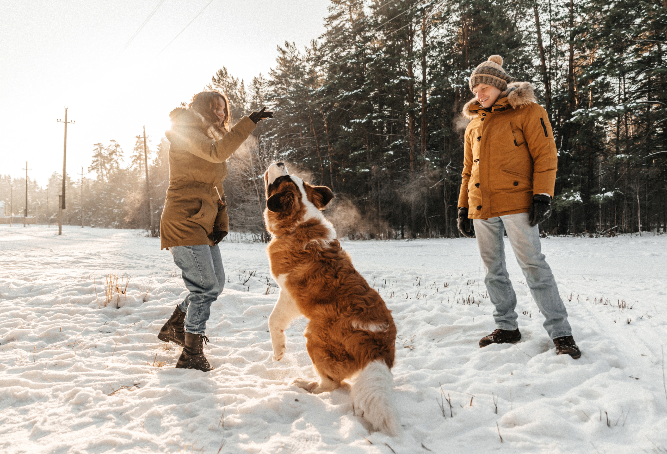 Федор, Алёна и Рон. Свадебный фотограф Амина Хомович