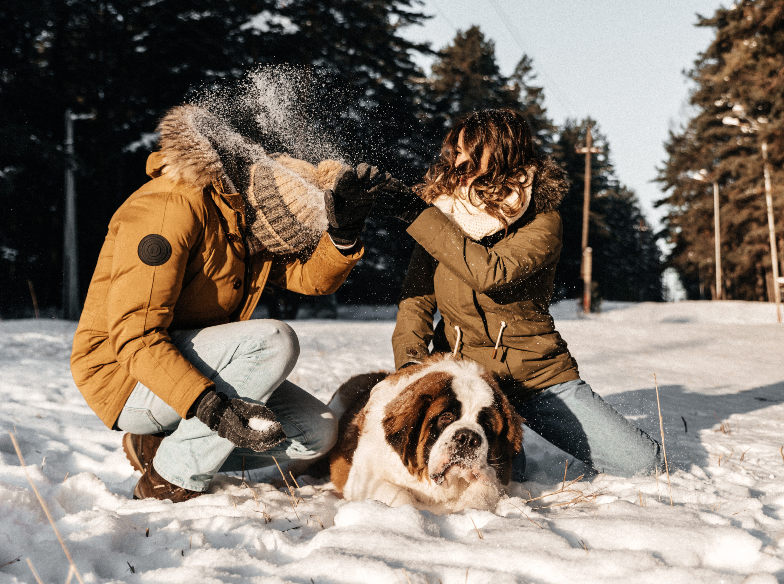Федор, Алёна и Рон. Свадебный фотограф Амина Хомович