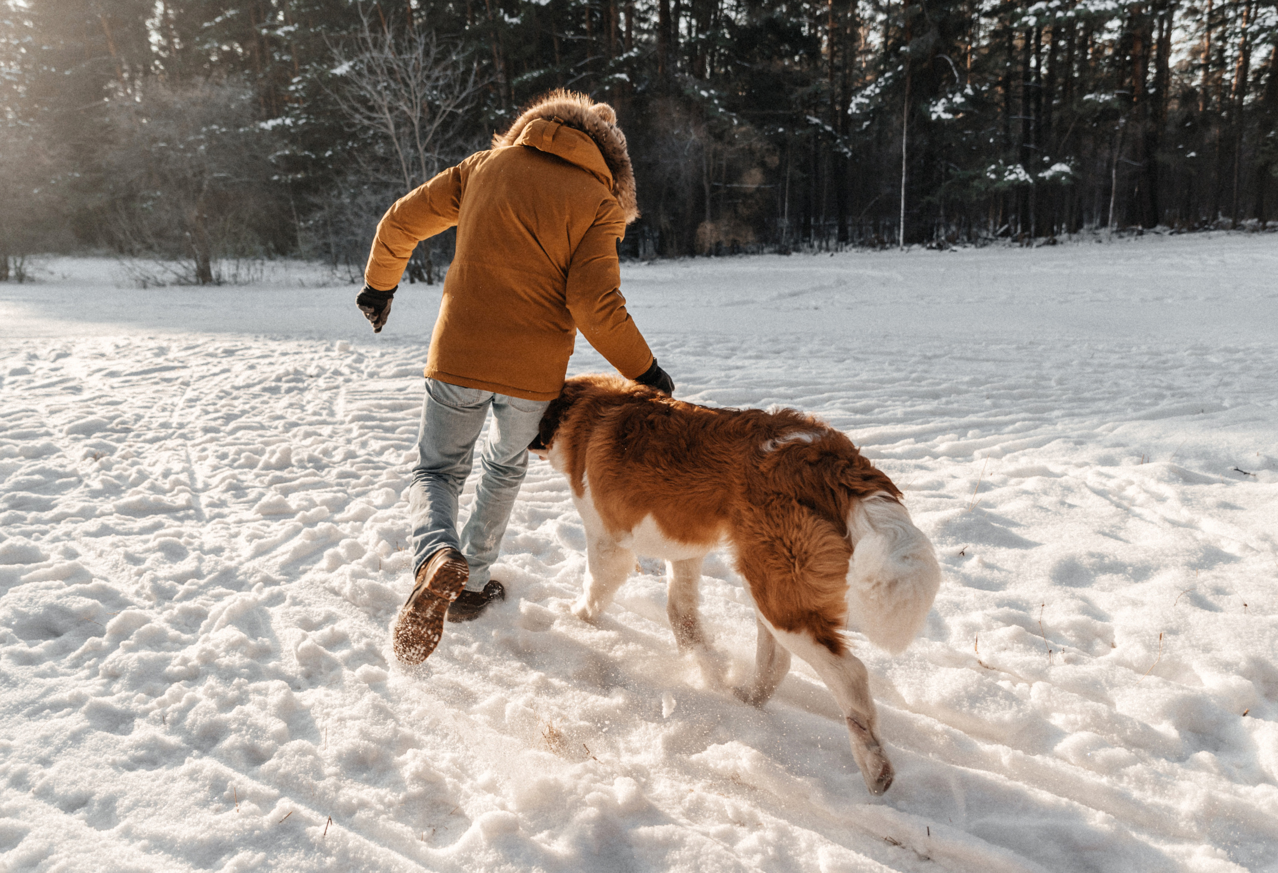 Федор, Алёна и Рон. Свадебный фотограф Амина Хомович