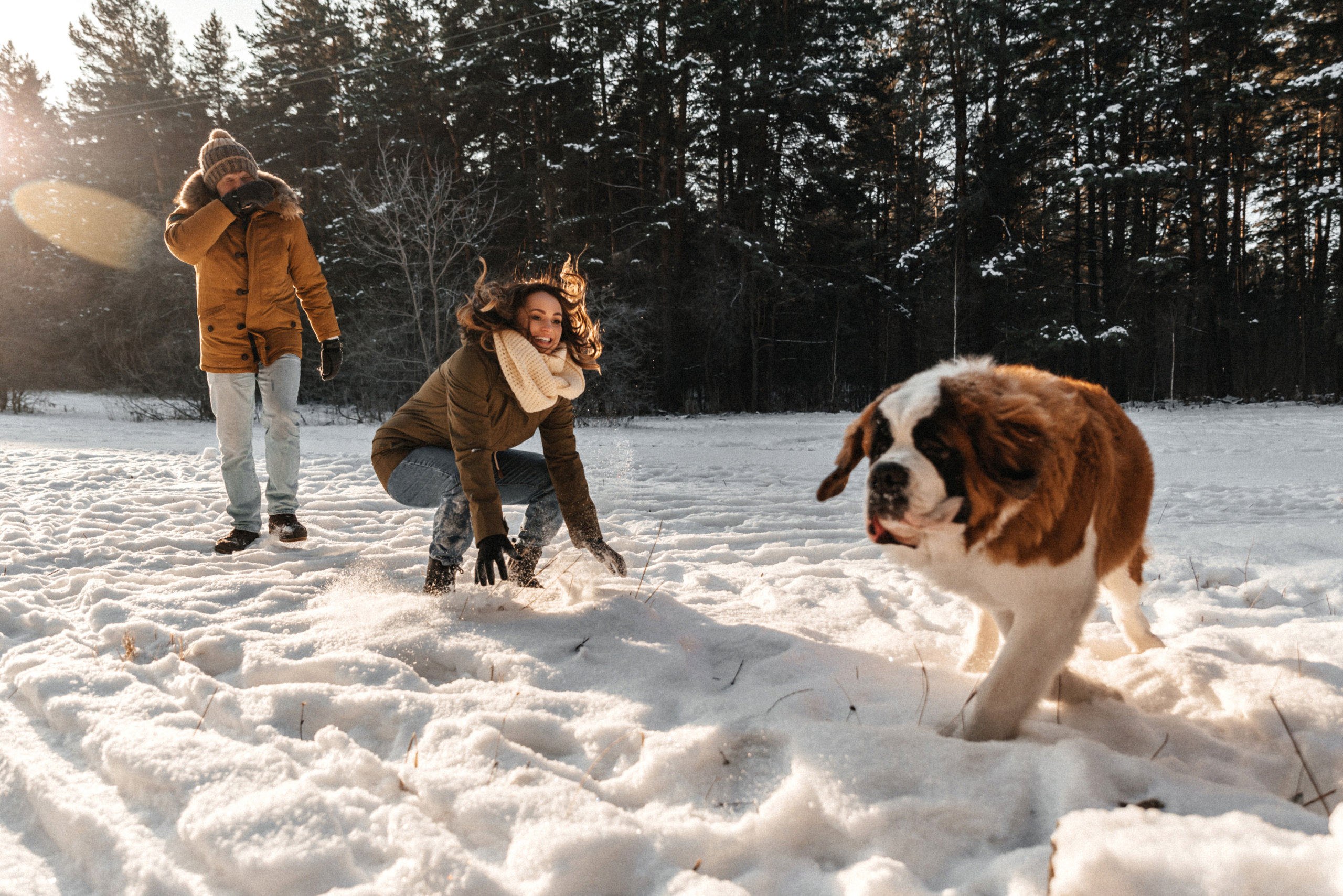 Федор, Алёна и Рон. Свадебный фотограф Амина Хомович