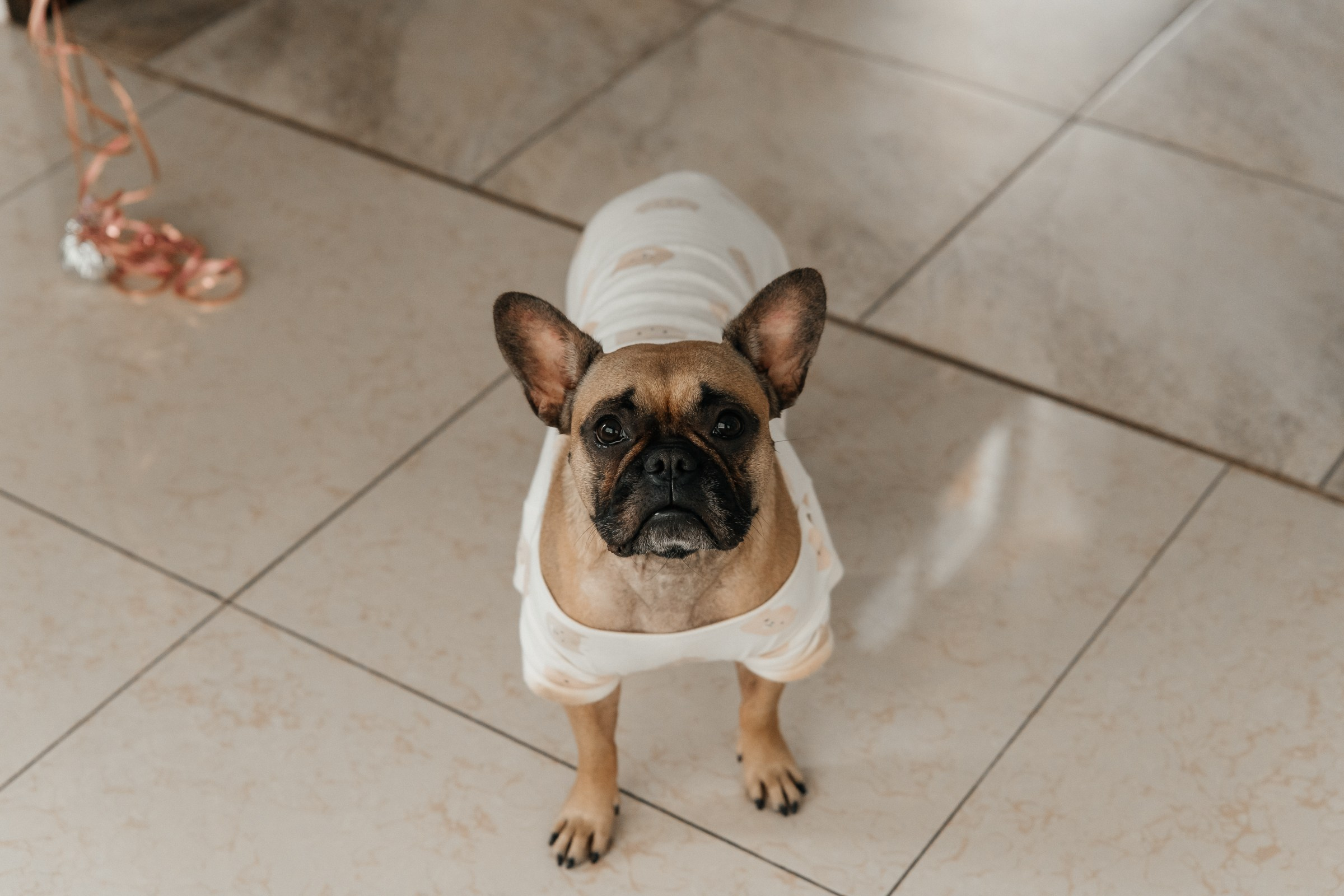 Ане полгодика. Свадебный и репортажный фотограф в Новосибирске Федор Гладков