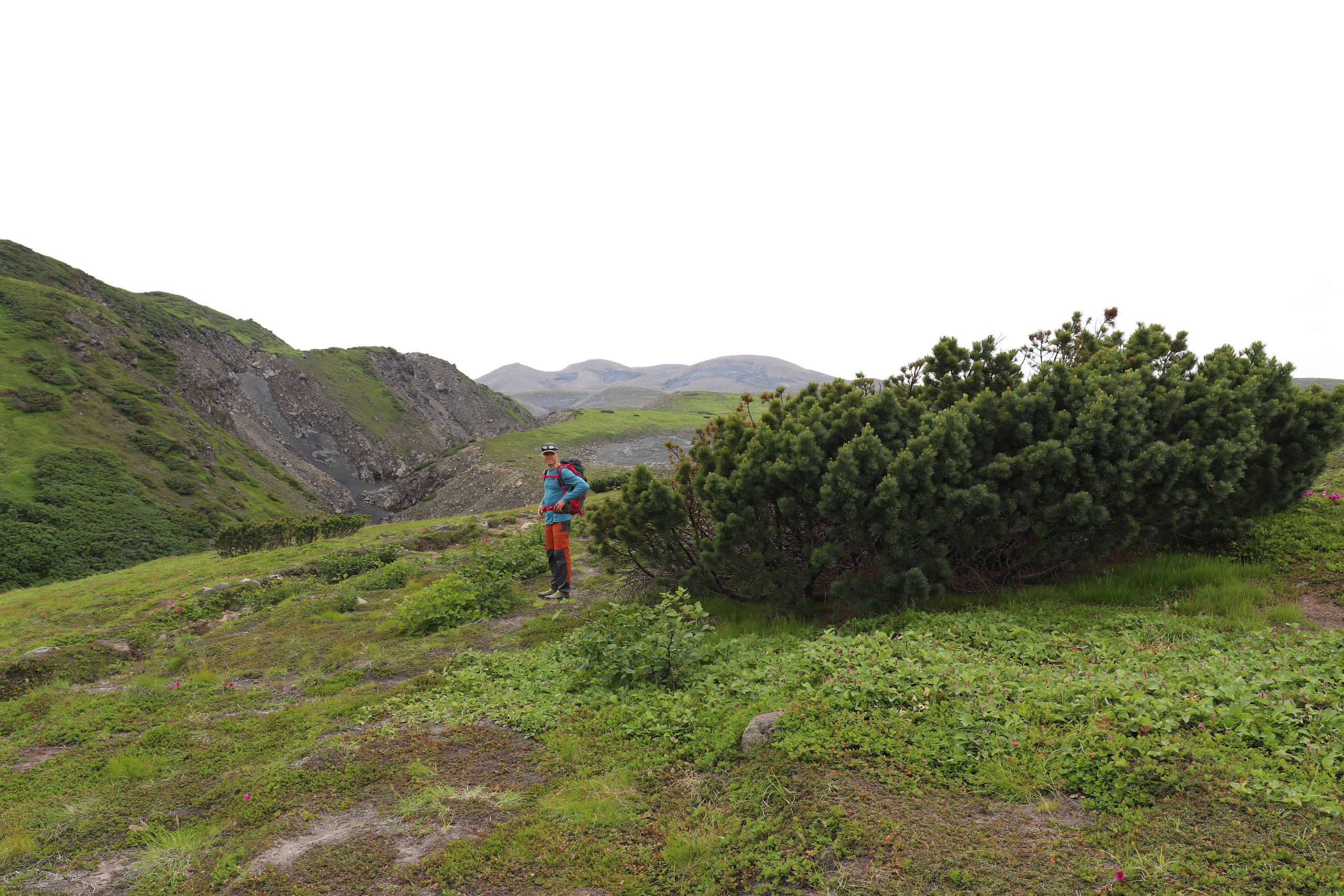 Камчатка и о. Парамушир. Июль 2024. Путешественник-фотограф из Санкт-Петербурга Татьяна Свистулина
