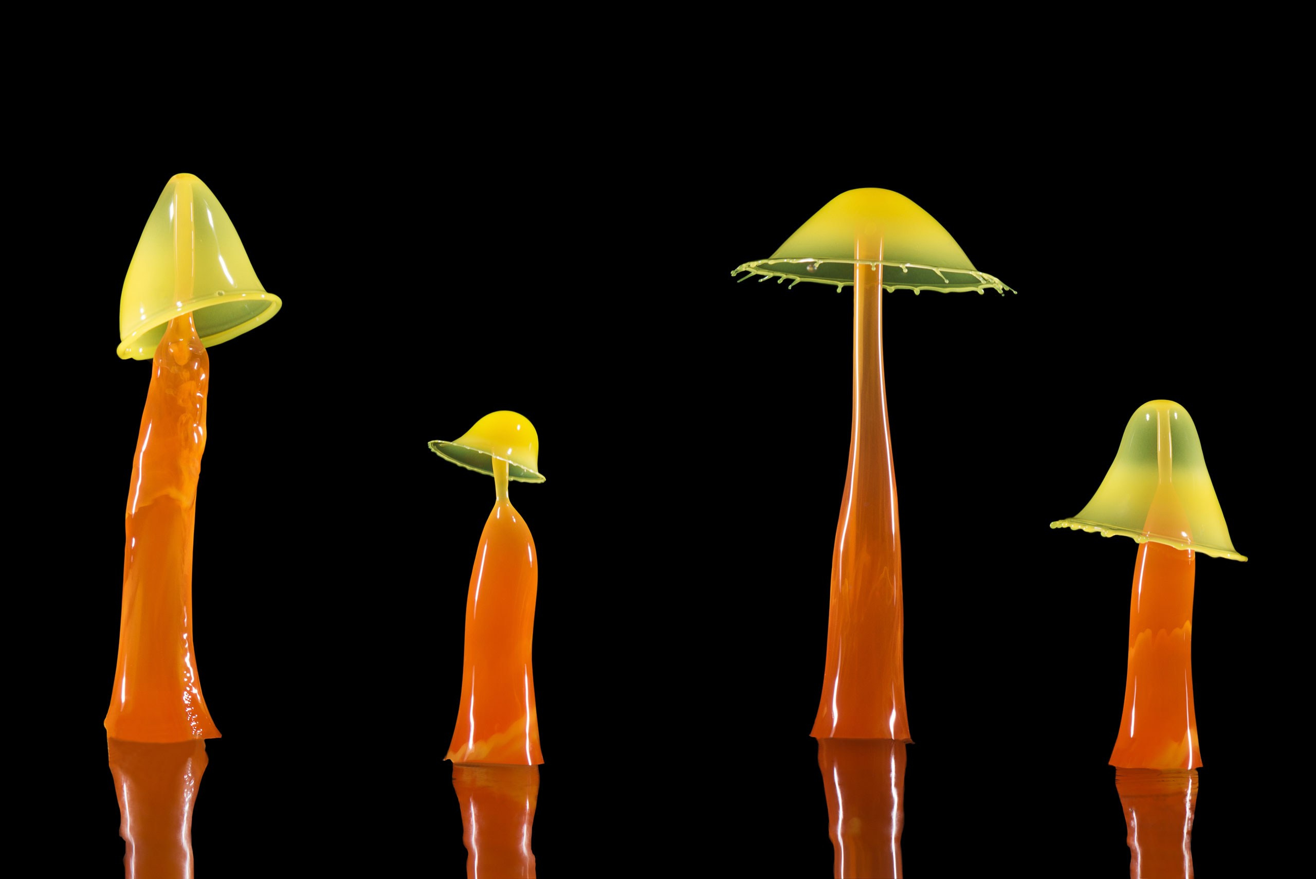 четыре  капли в виде грибов опят