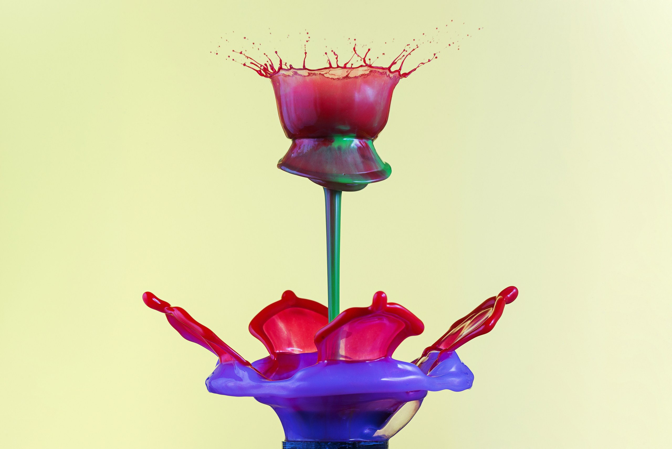 Капли XXL с медузами. Скульптуры из воды Сергея Толмачева