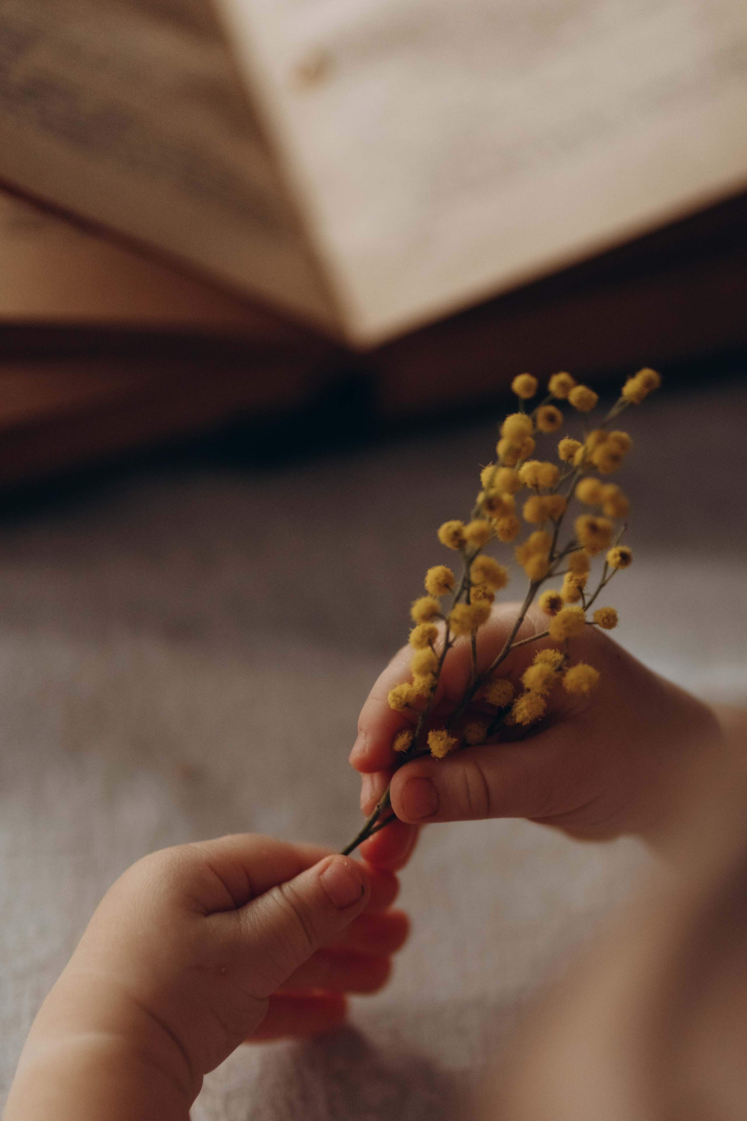 Семейные съемки. Annauskova