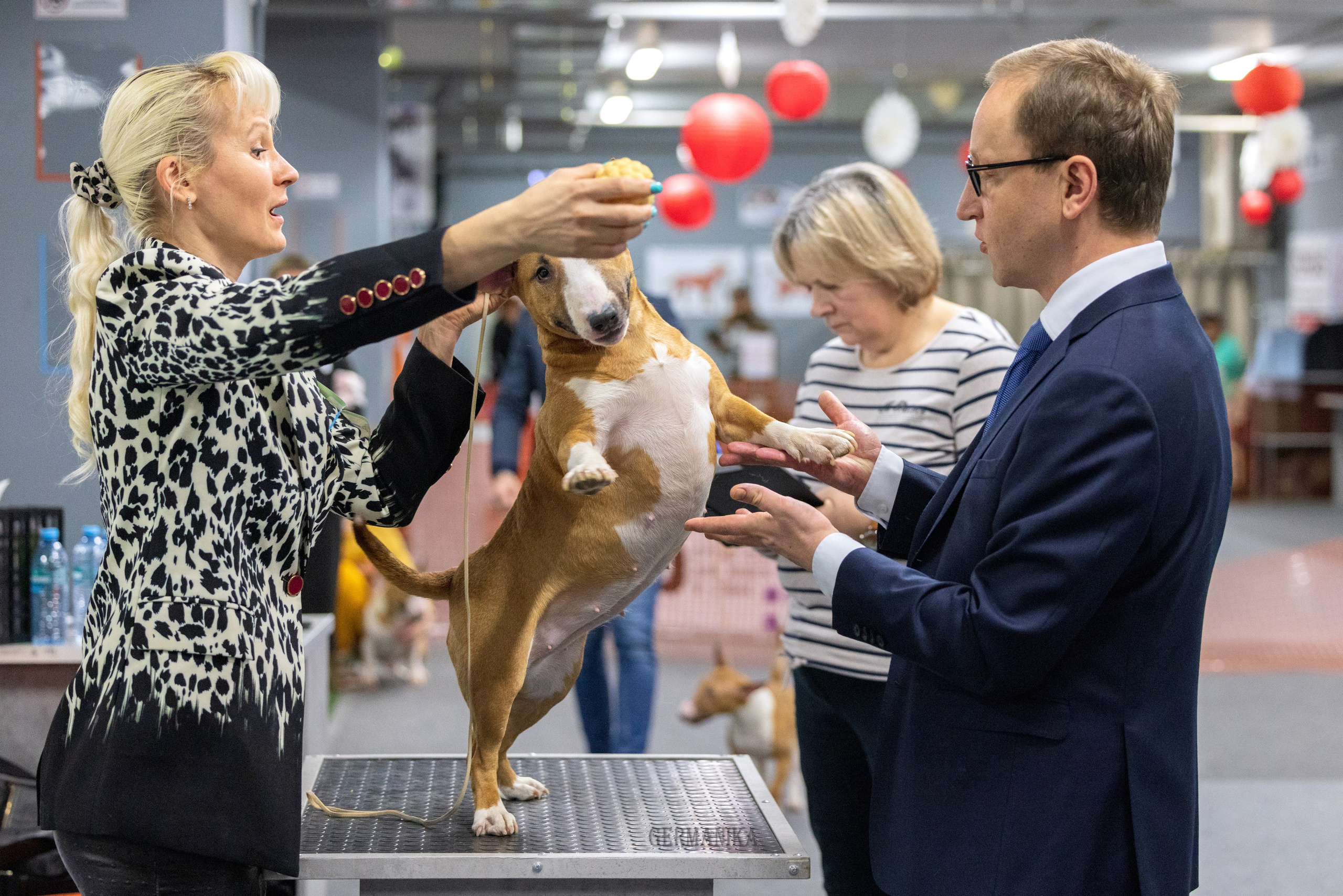 Сфера 28.01. и 4.02.2024. Фотограф-анималист Юлия Германика