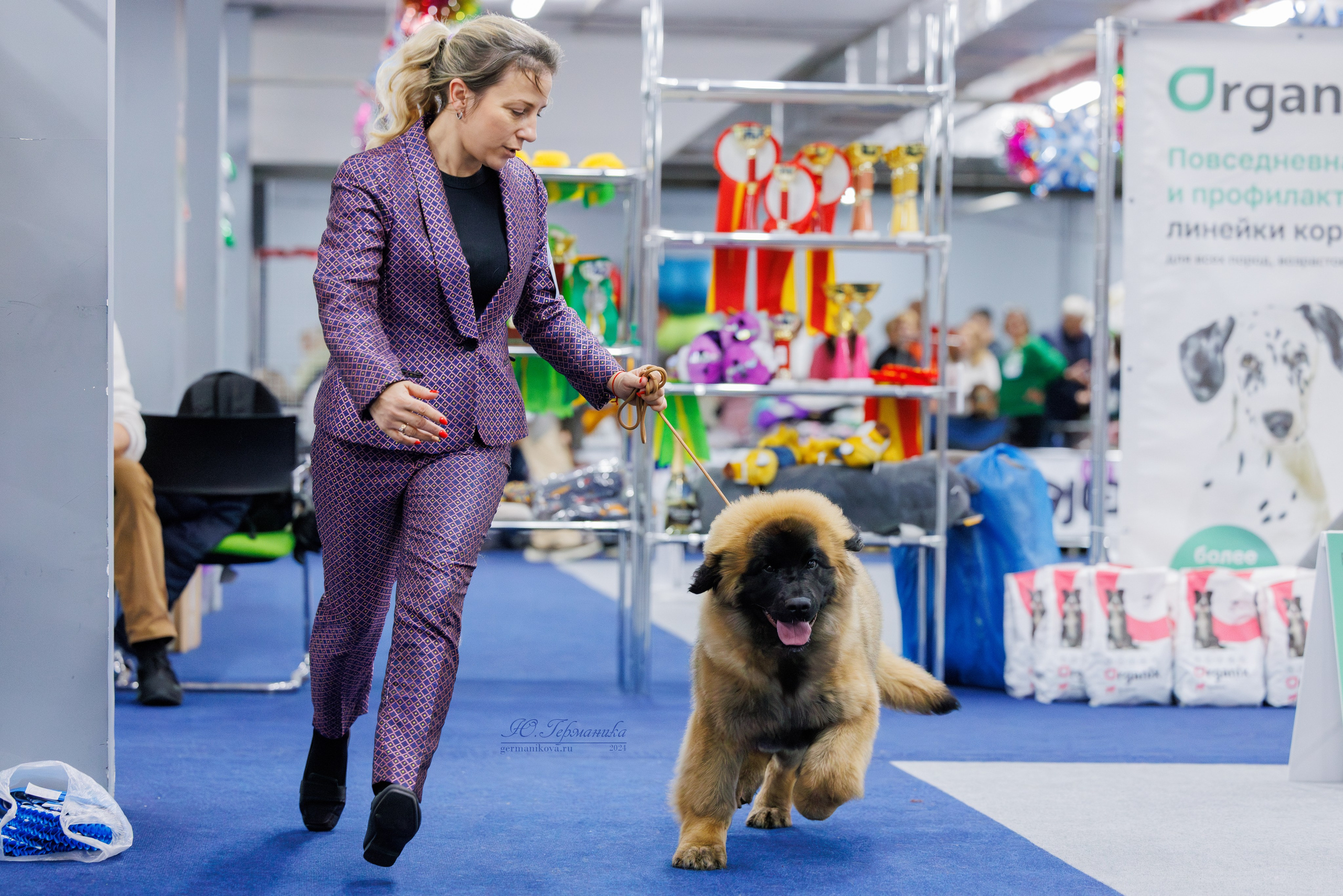 Крокус 21.12.2024,Сфера 29.12.2024. Фотограф-анималист Юлия Германика