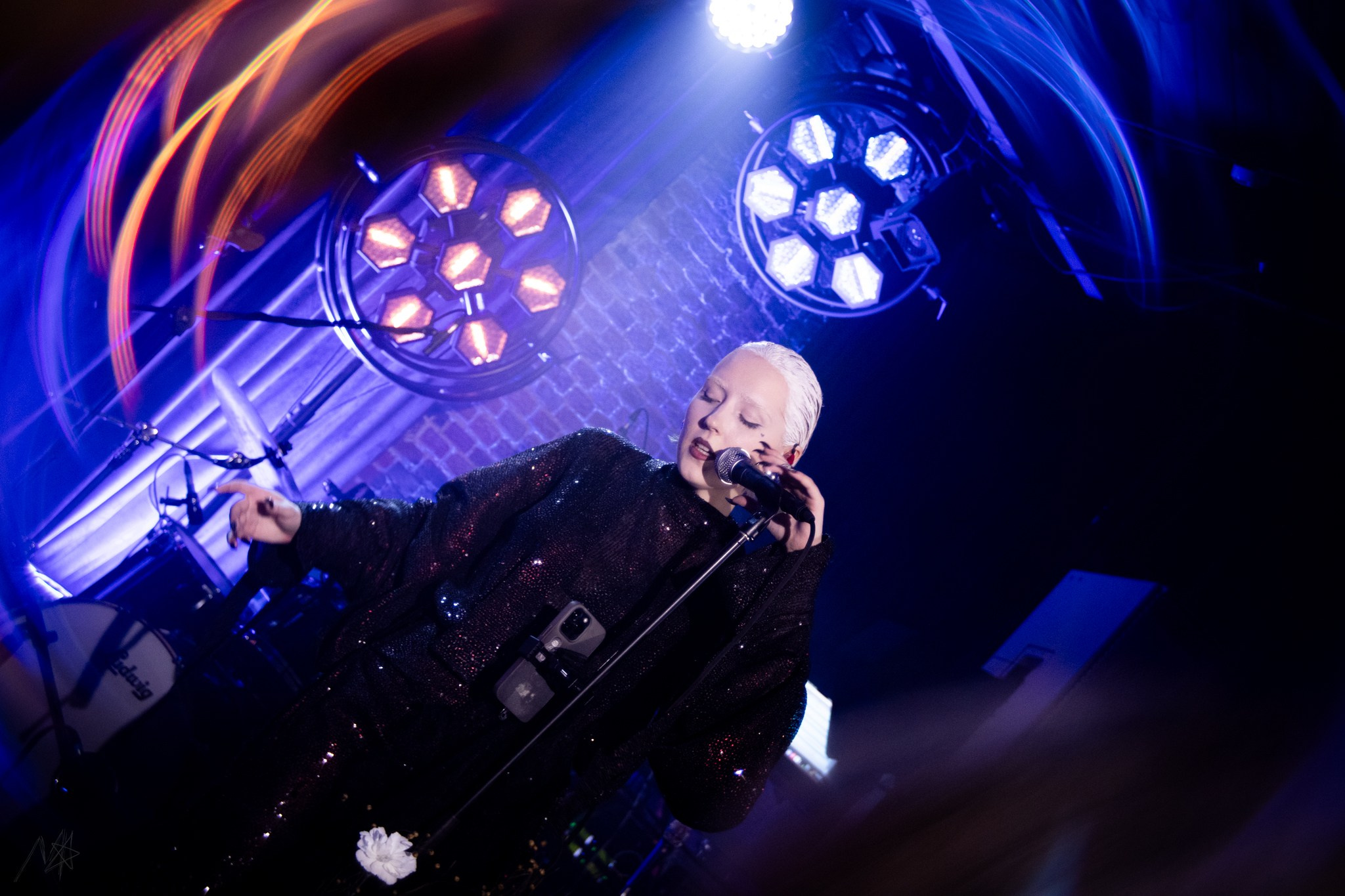 Беатрис. Концертный фотограф