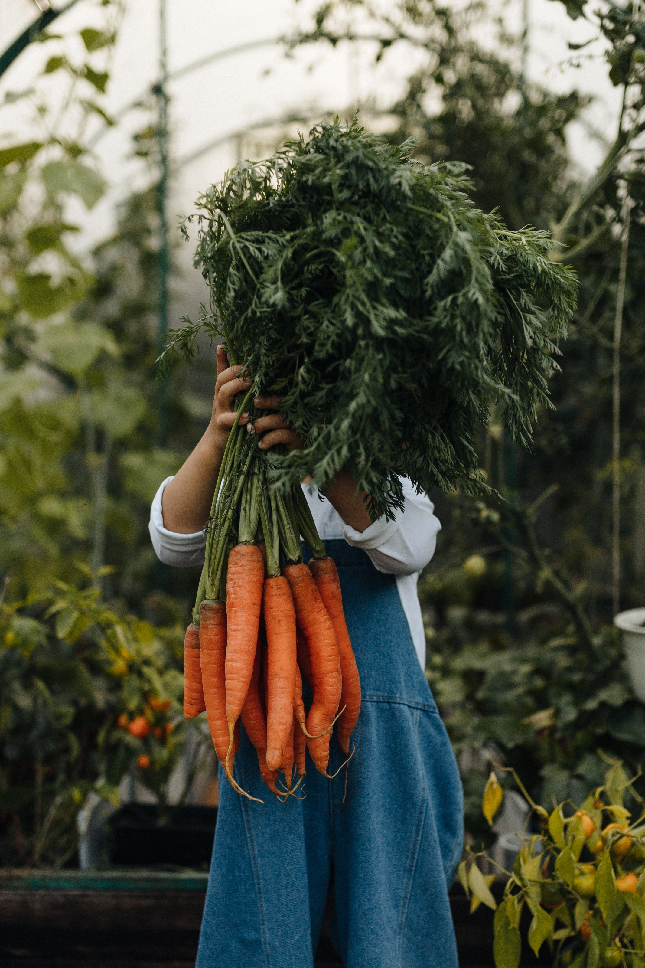 Дачники. Главная