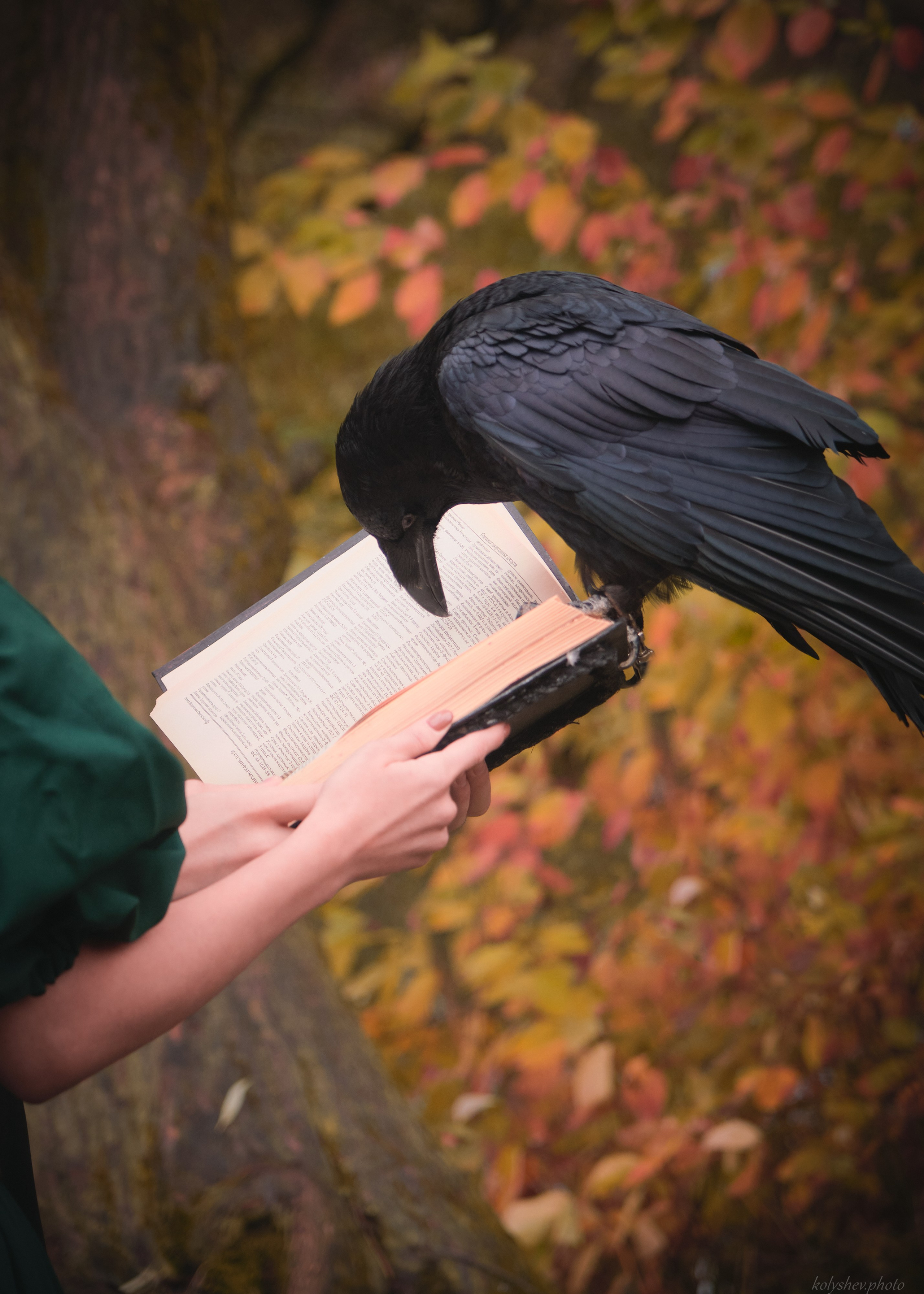 Фотосессия с птицей в Москве