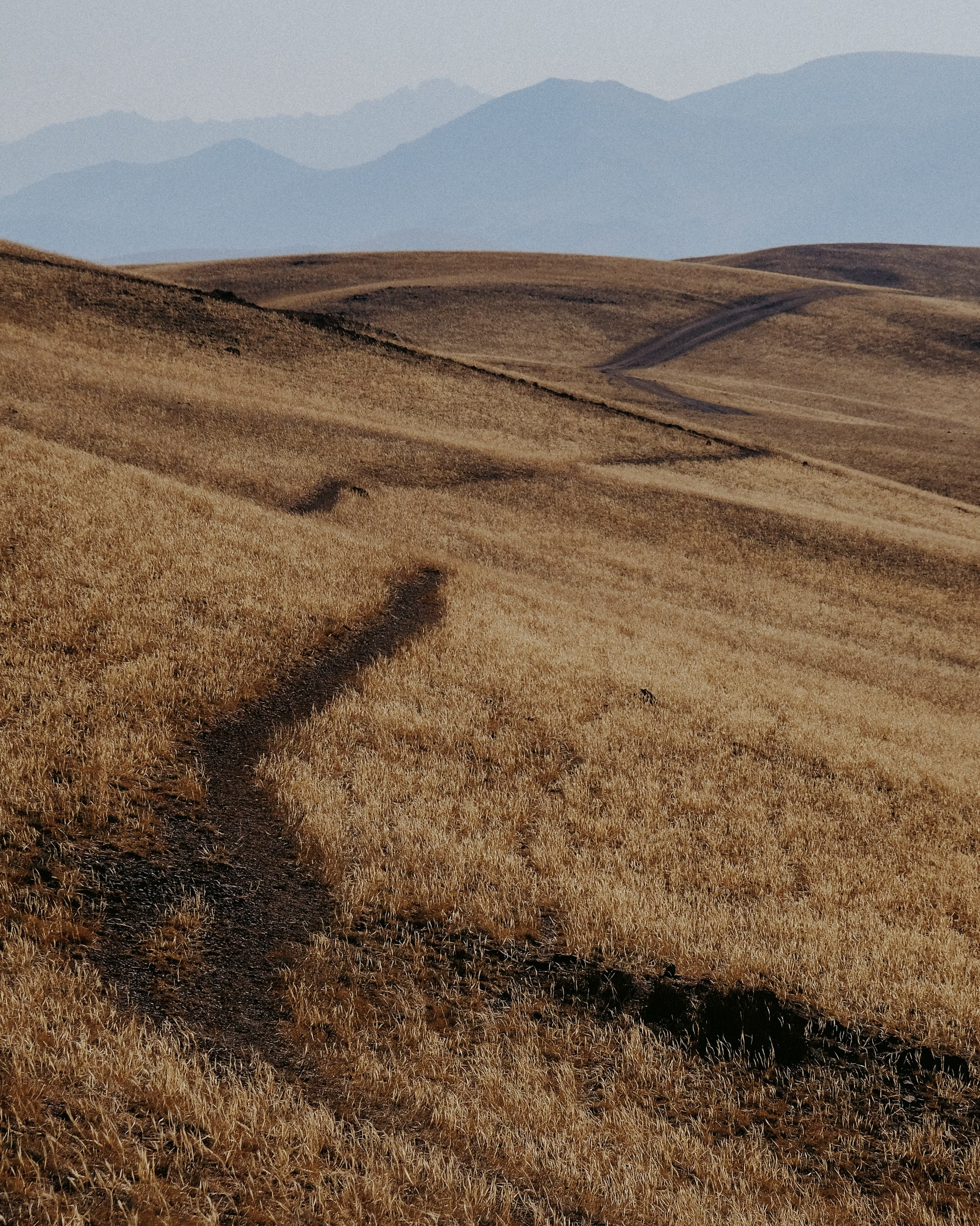 Кыргызстан. Фотограф Дмитрий Олрайт | Калуга, Россия