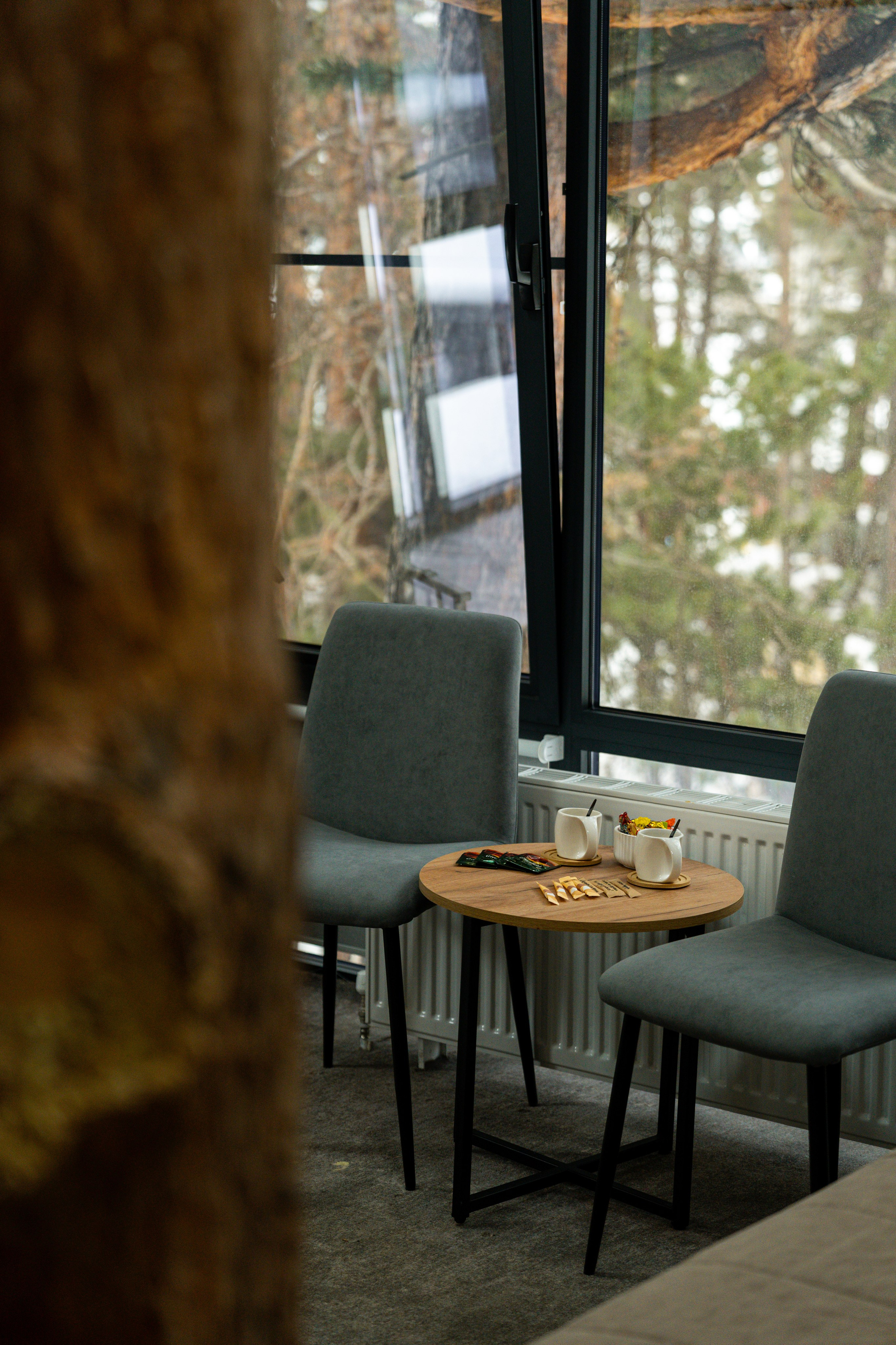 Эклер. Фотограф и видеограф Елена Хмелевская