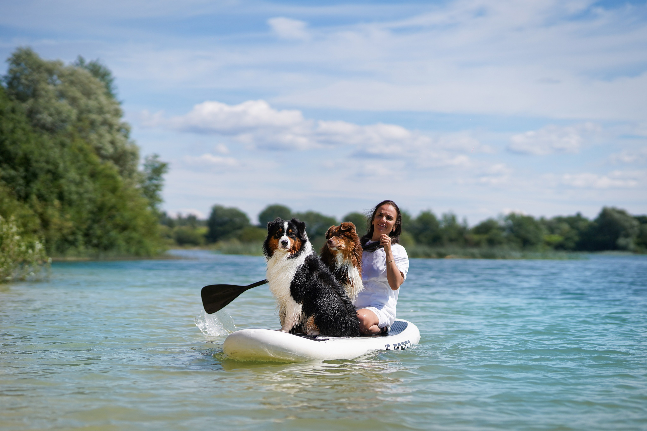 Аусси на карьерах. Фотограф-анималист в Санкт-Петербурге Яна Мартынова