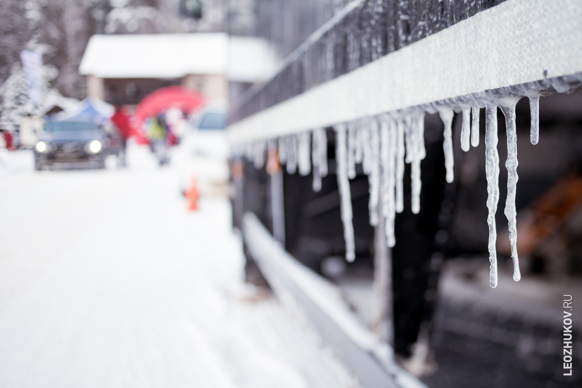 Ралли Суворов 2025. Спортивный фотограф Леонид Жуков