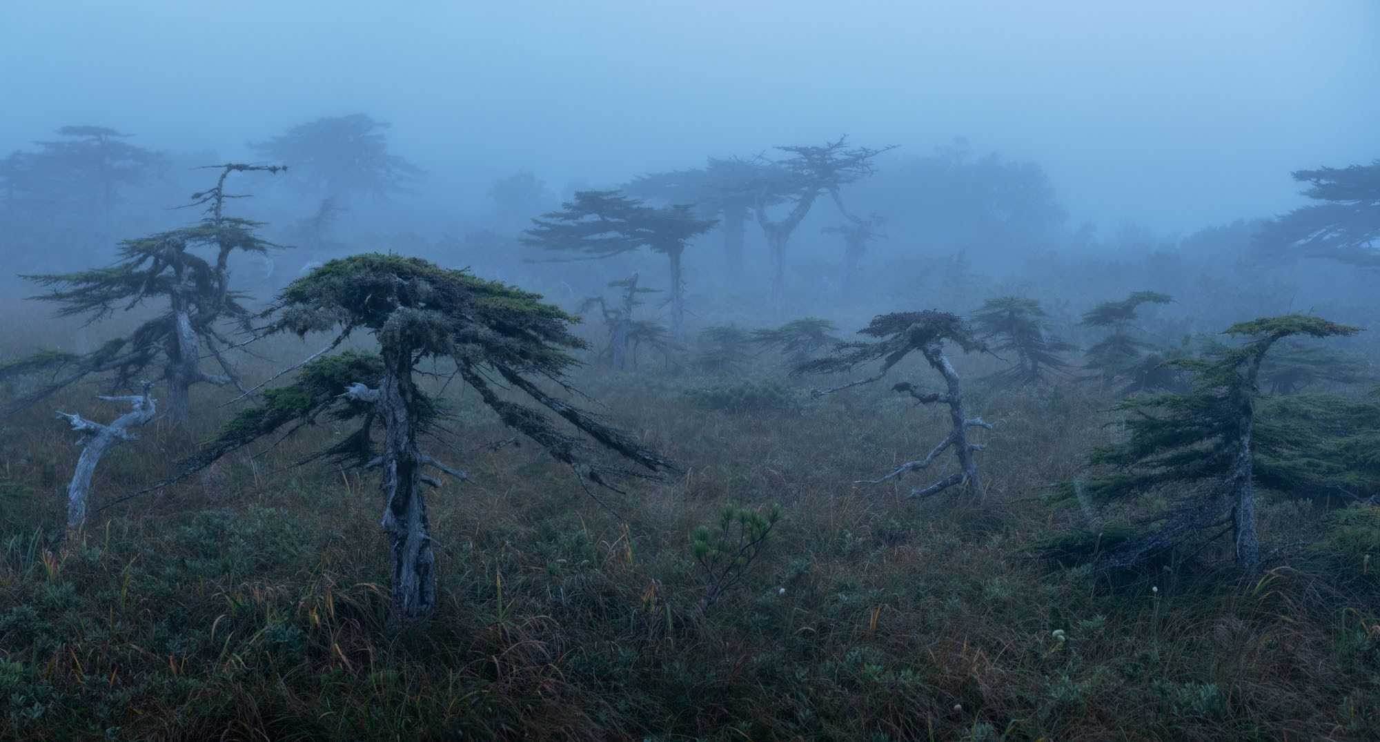 Фотографии южные Курилы