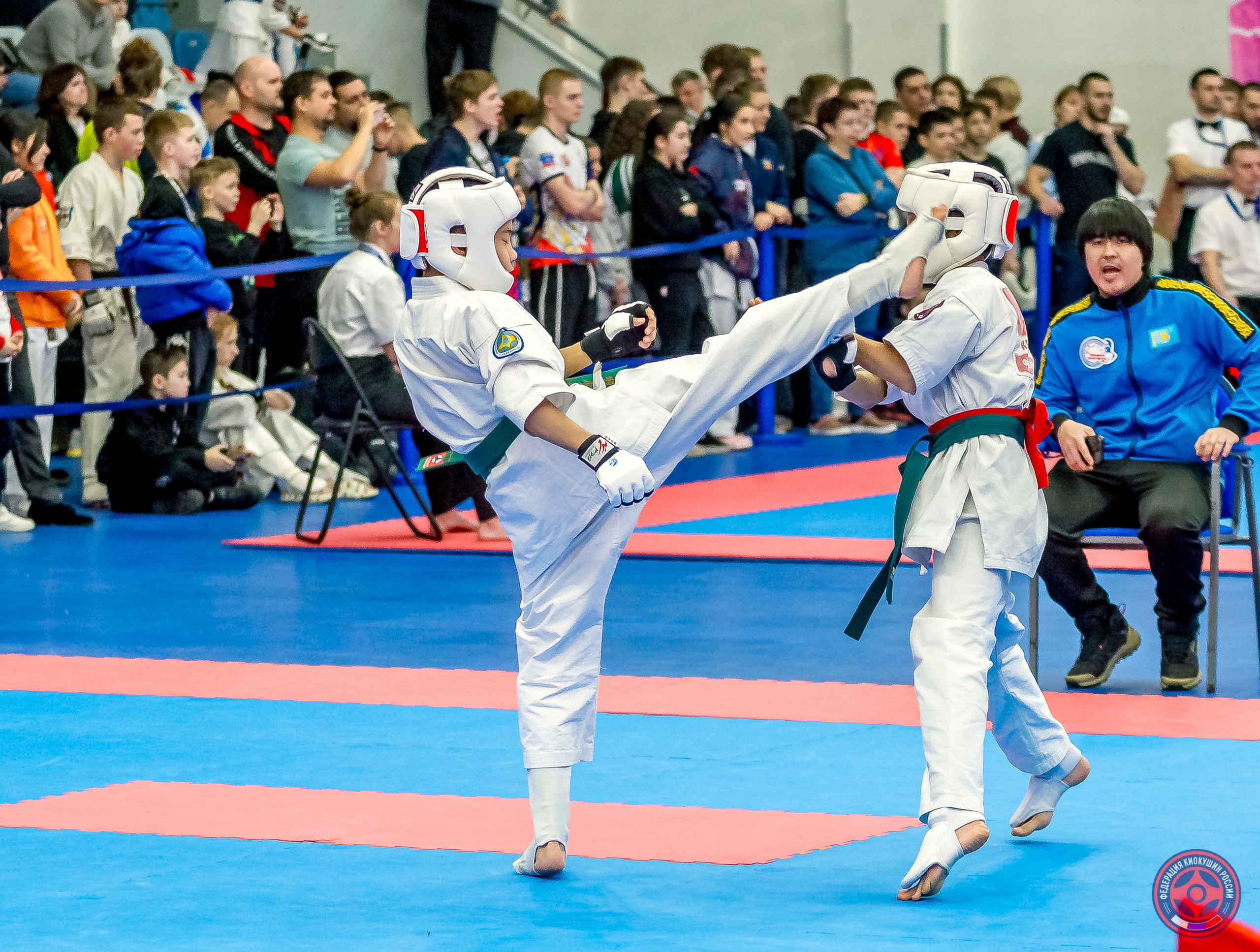 Международный турнир по киокушин «Открытый кубок Seiken». Репортажная съемка в Москве и области. Анималистика