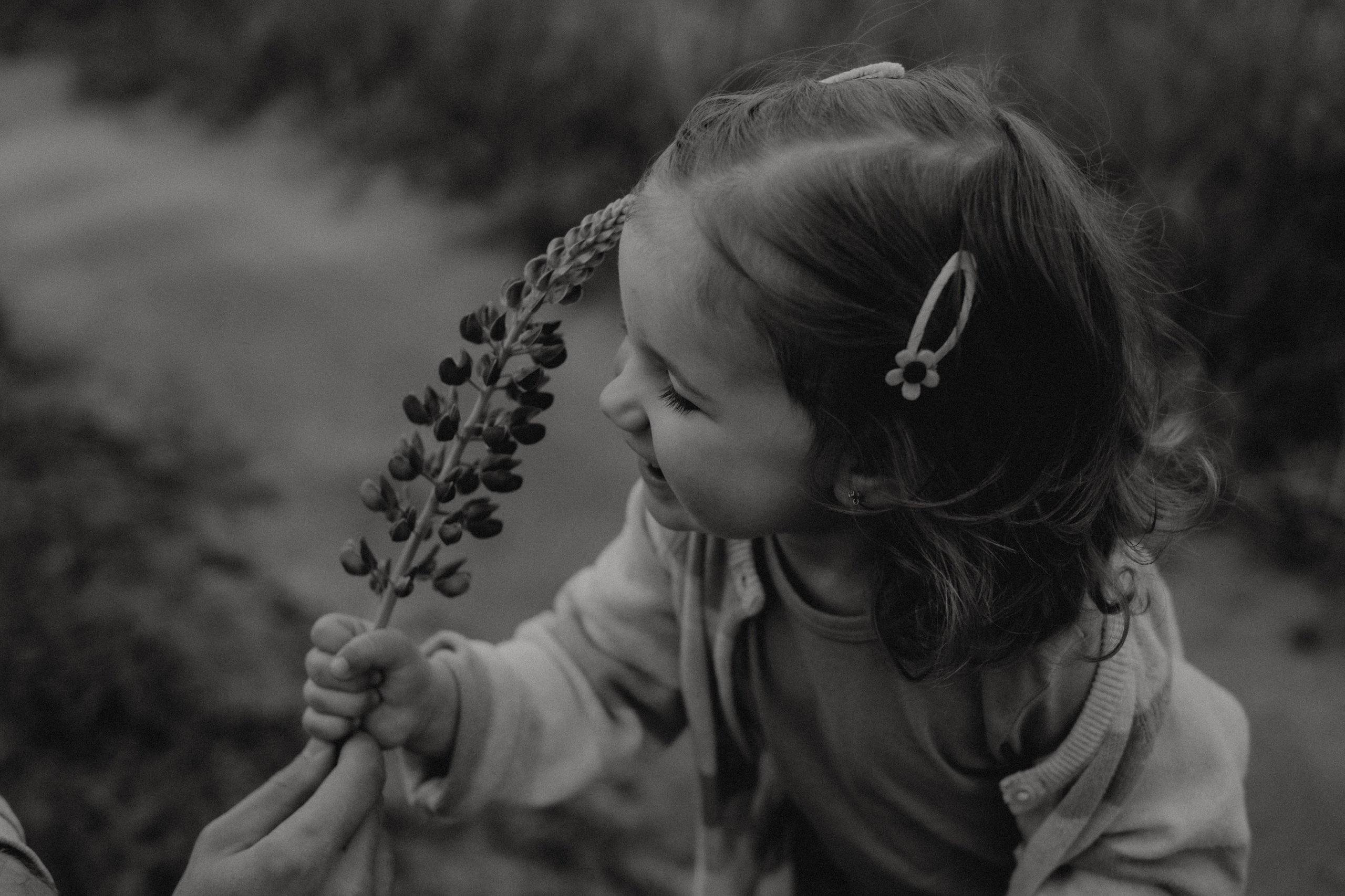Лиза, Андрей и Алиса. Свадебный фотограф Оля Григунова