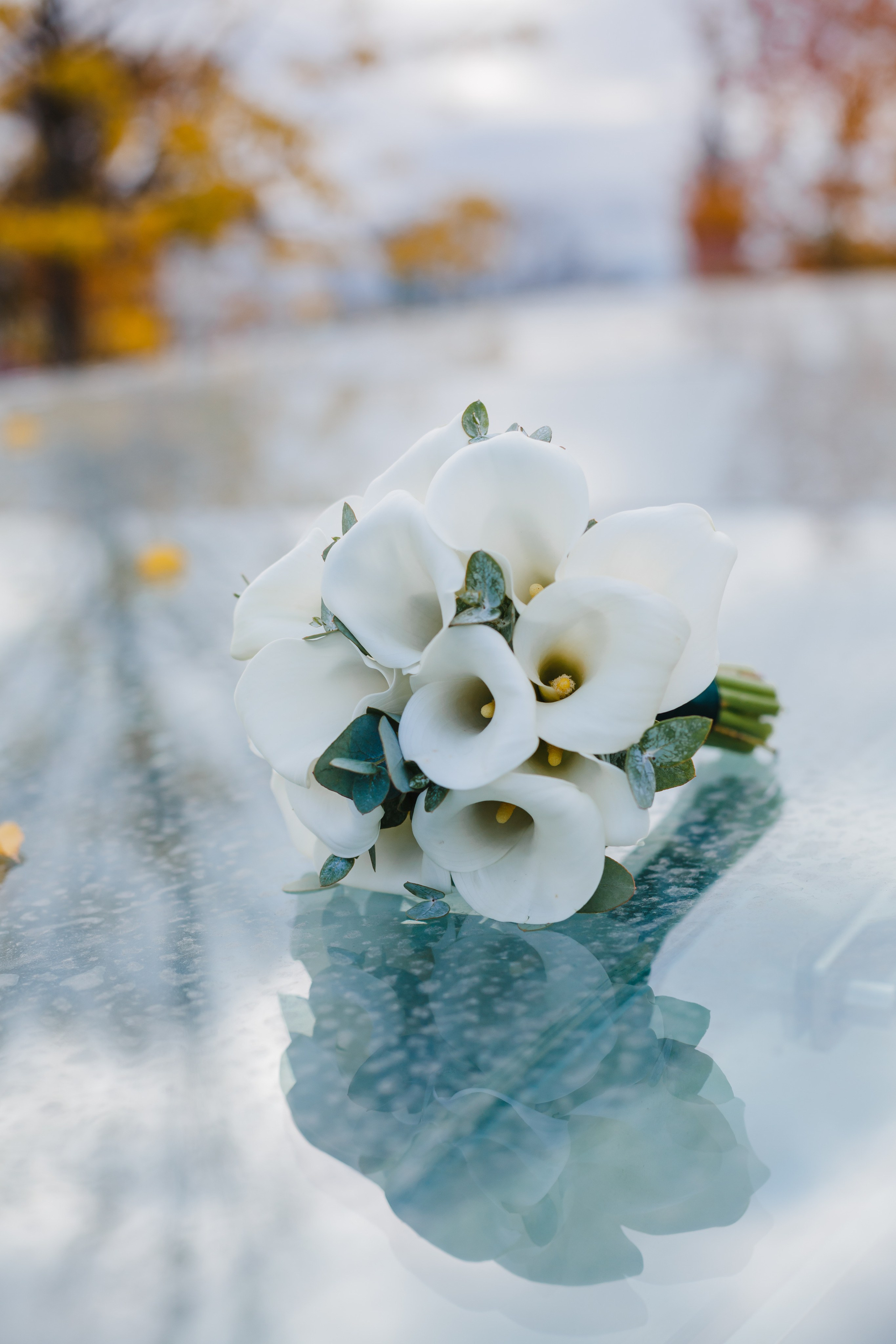 Павел и Анна. Семейный фотограф Николаева Ольга