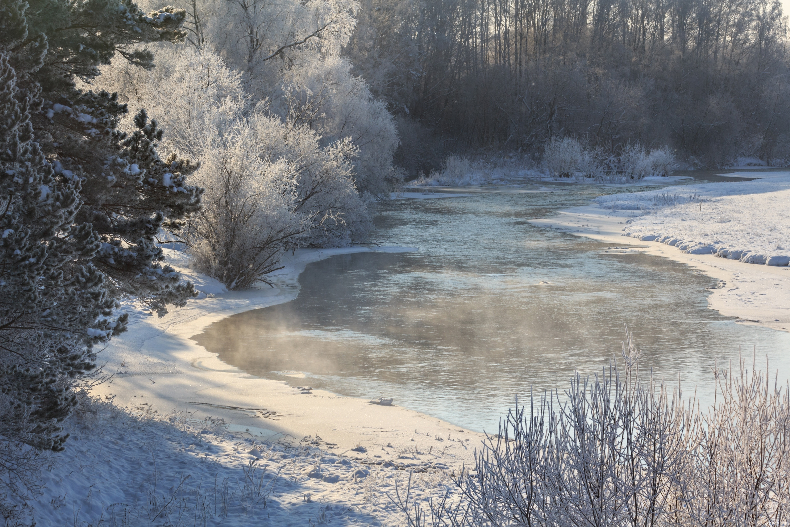 Природа родного края. Фотограф для хороших людей в Юрге, Томске, Кемерово, Республике Алтай