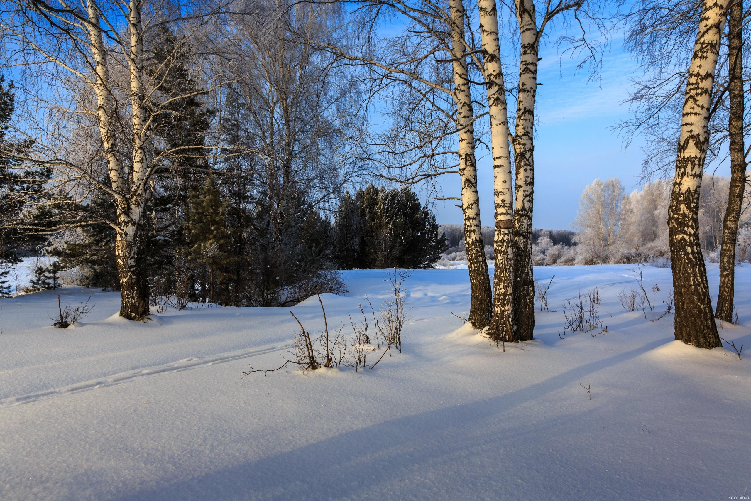 Природа родного края. Фотограф для хороших людей в Юрге, Томске, Кемерово, Республике Алтай