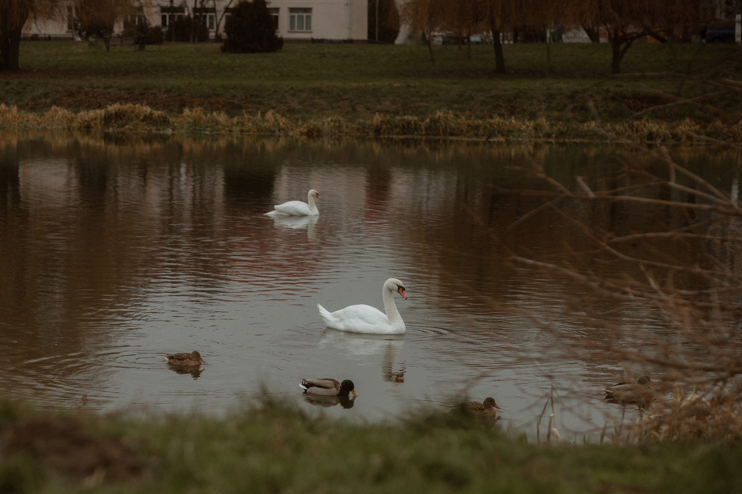 I can give you my devotion ‘til the end of time. Фотограф Лия Козловская Минск