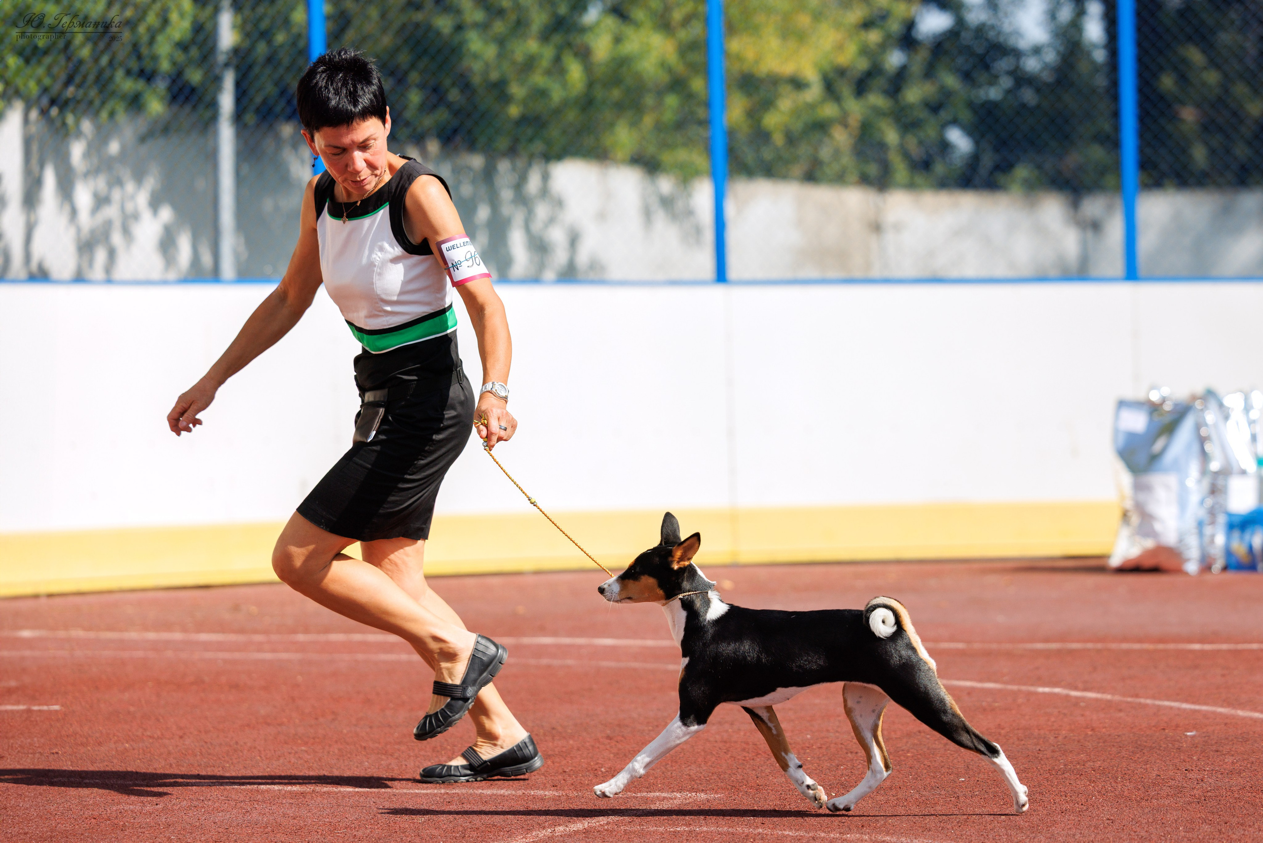 Коломна 30.08.2025. Фотограф-анималист Юлия Германика