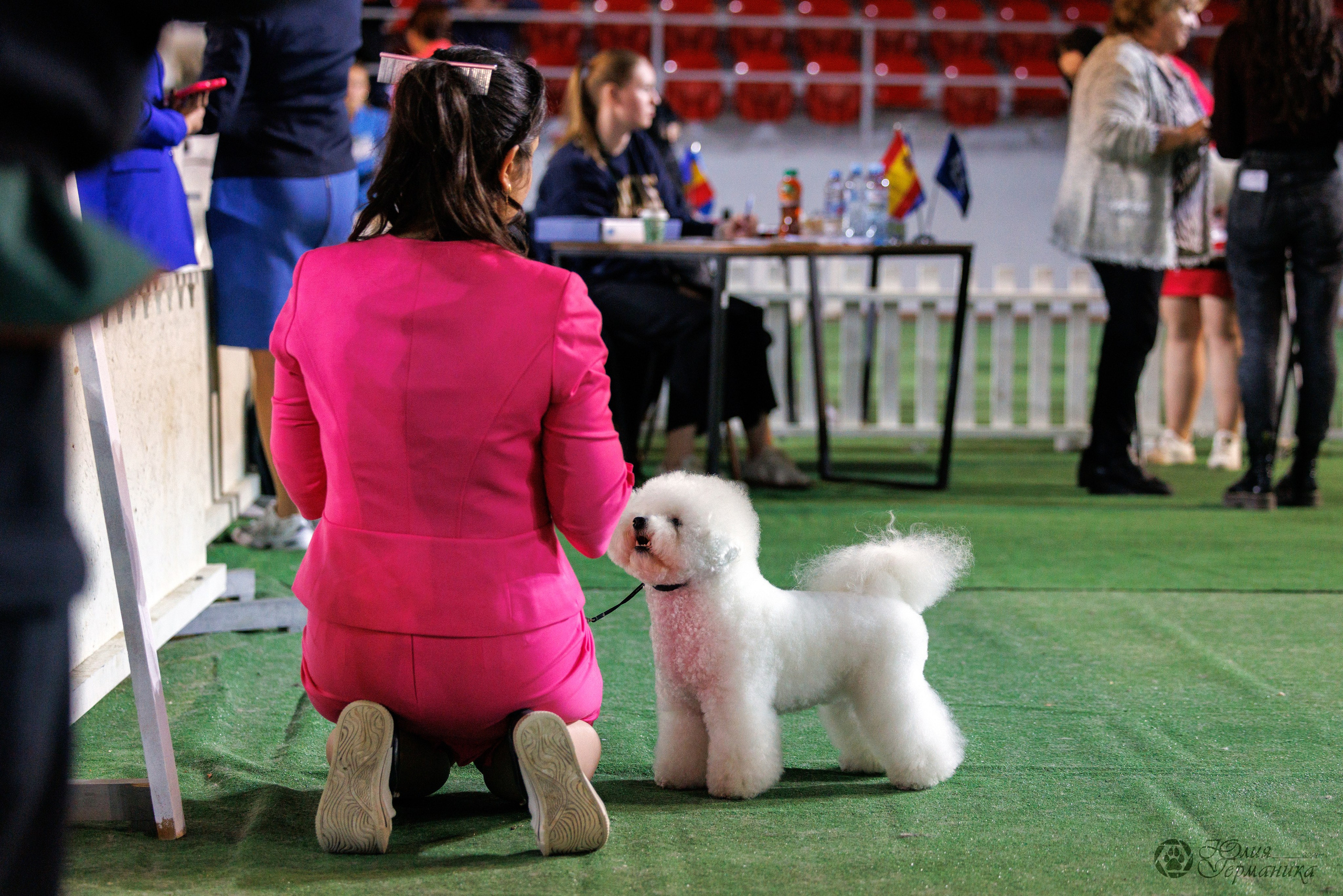 Грузия,Телави 2хCACIB 19-20.10.2024. Фотограф-анималист Юлия Германика