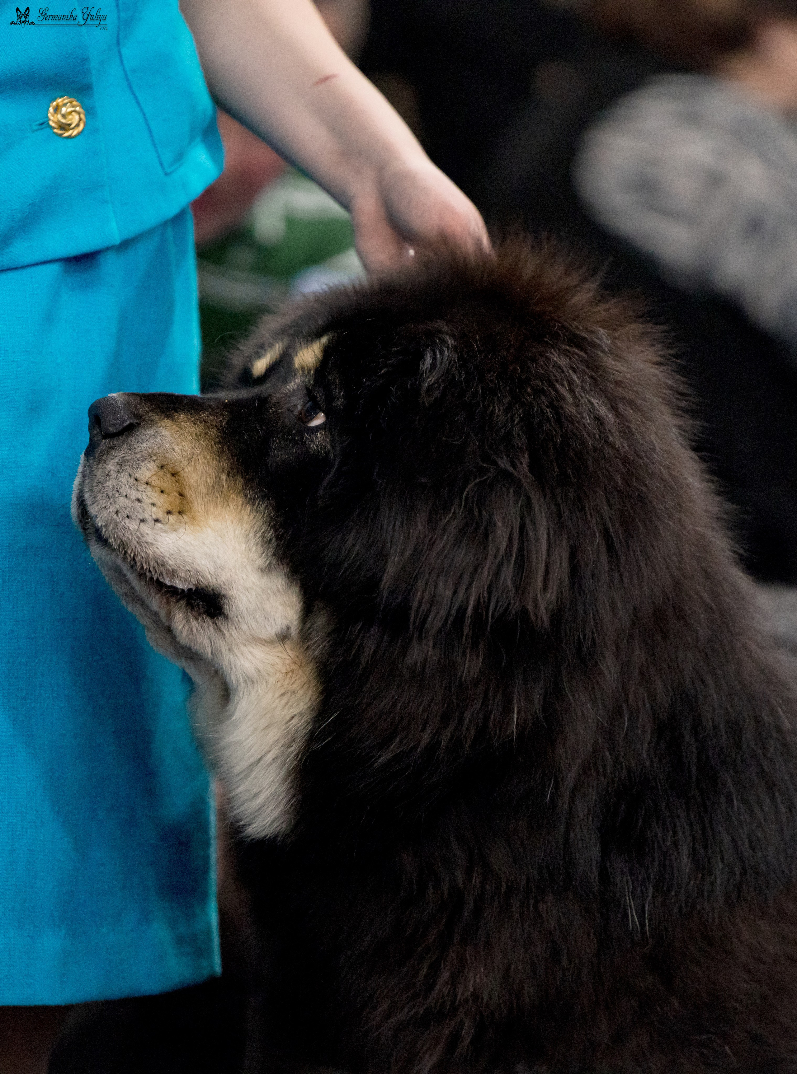 Сфера 28.01. и 4.02.2024. Фотограф-анималист Юлия Германика