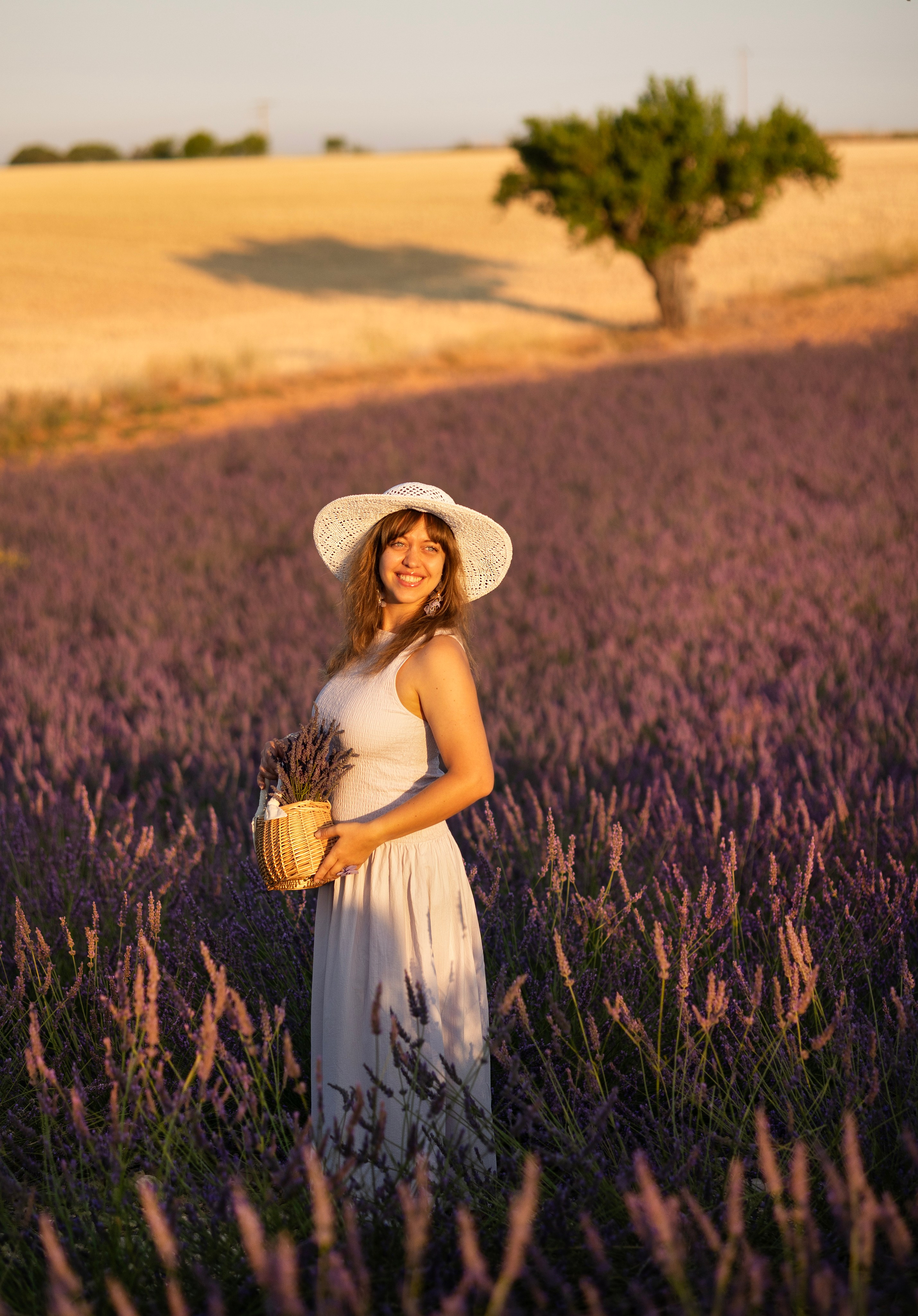 Provence. Фотограф в Мюнхене