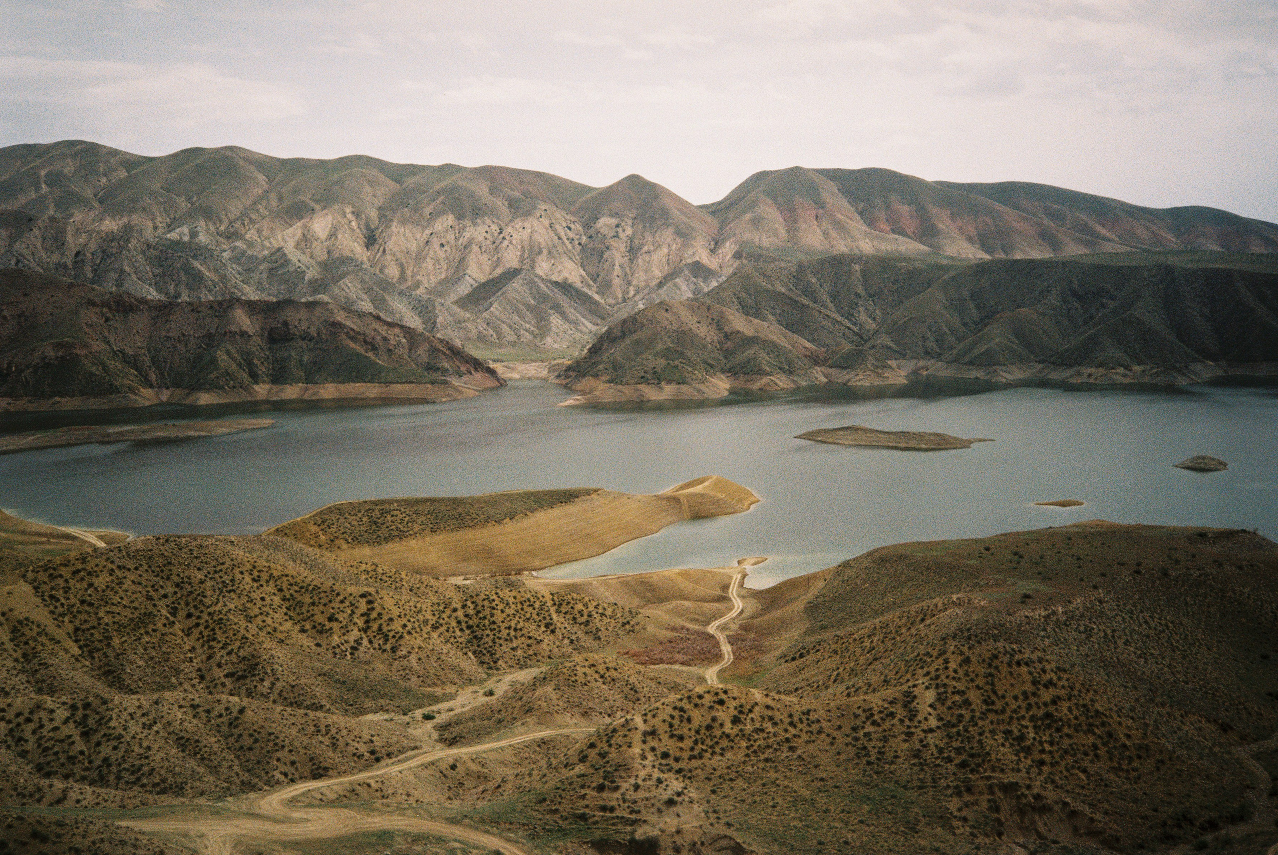 Пленка. Свадебный, репортажный и семейный фотограф в Москве Арина Зак