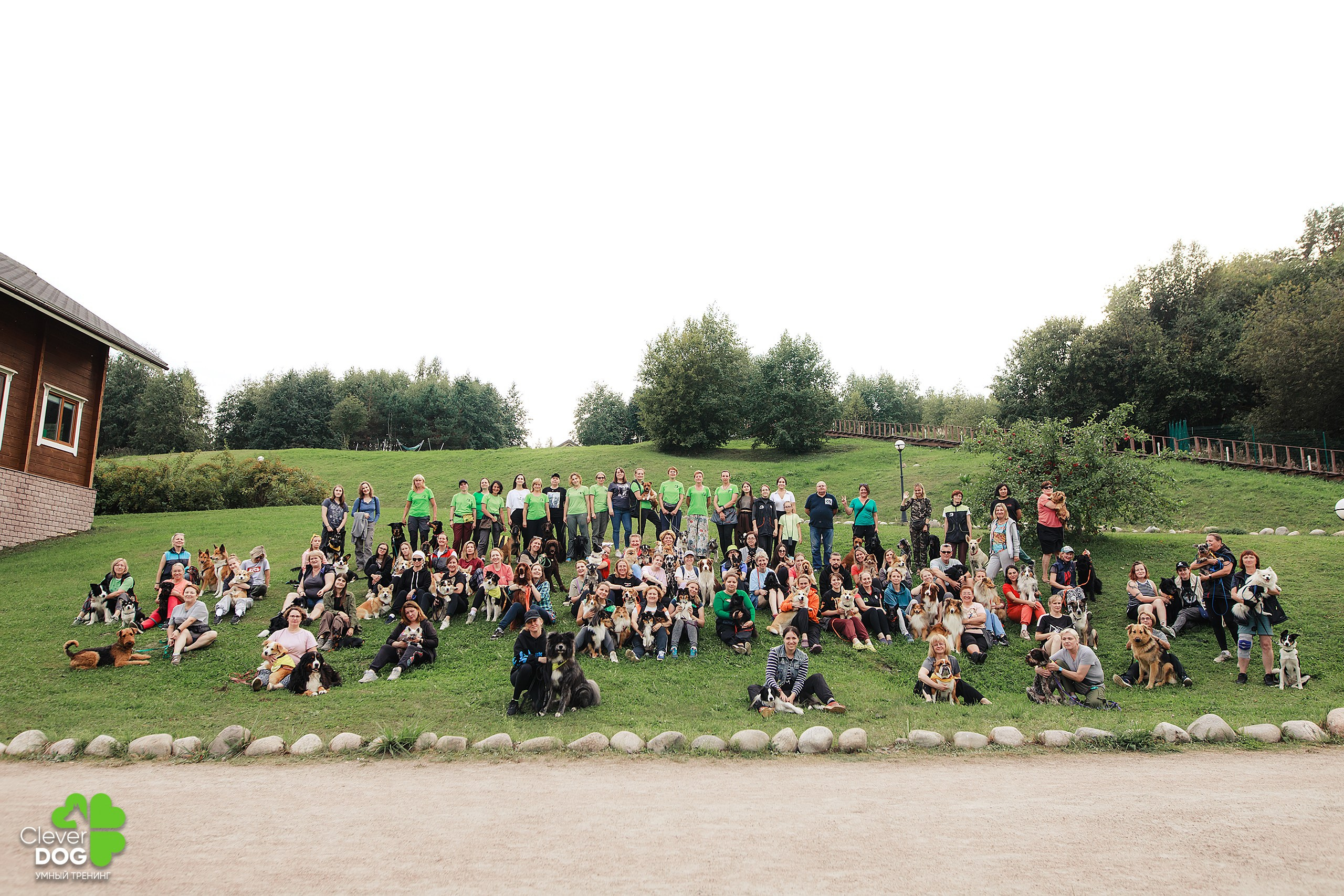 Кинологический лагерь CleverDog, 2024. Фотограф-анималист Mary Mart — Москва, Питер
