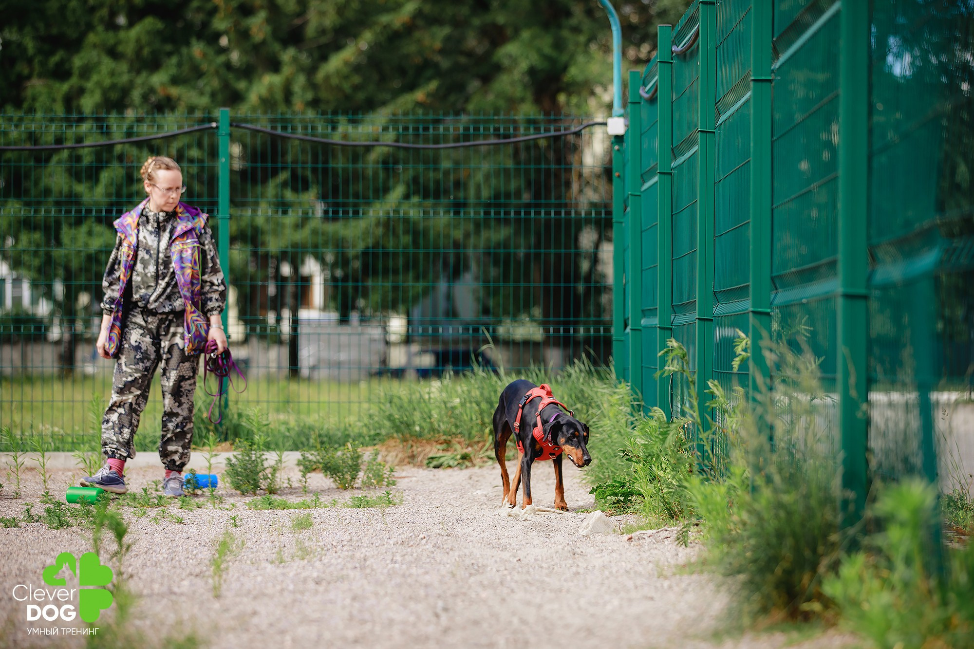 Семинар по поиску запаха с Иваном Ломовым, организатор CleverDog, СПб. Фотограф-анималист Mary Mart — Москва, Питер