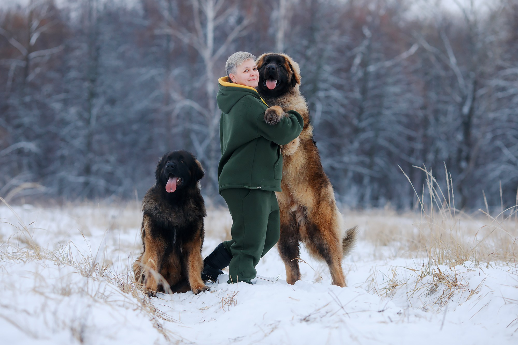 Леоненбергеры. Фотограф-анималист Mary Mart — Москва, Питер