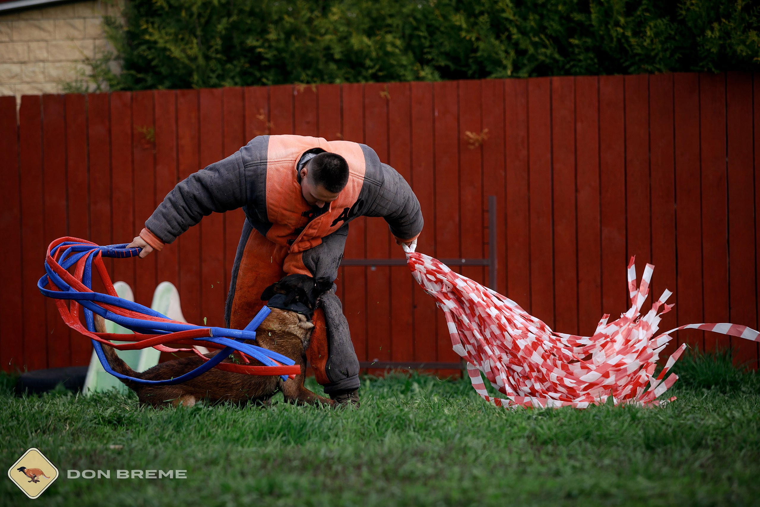 Семинар для фигурантов, день 2. Фотограф-анималист Mary Mart — Москва, Питер