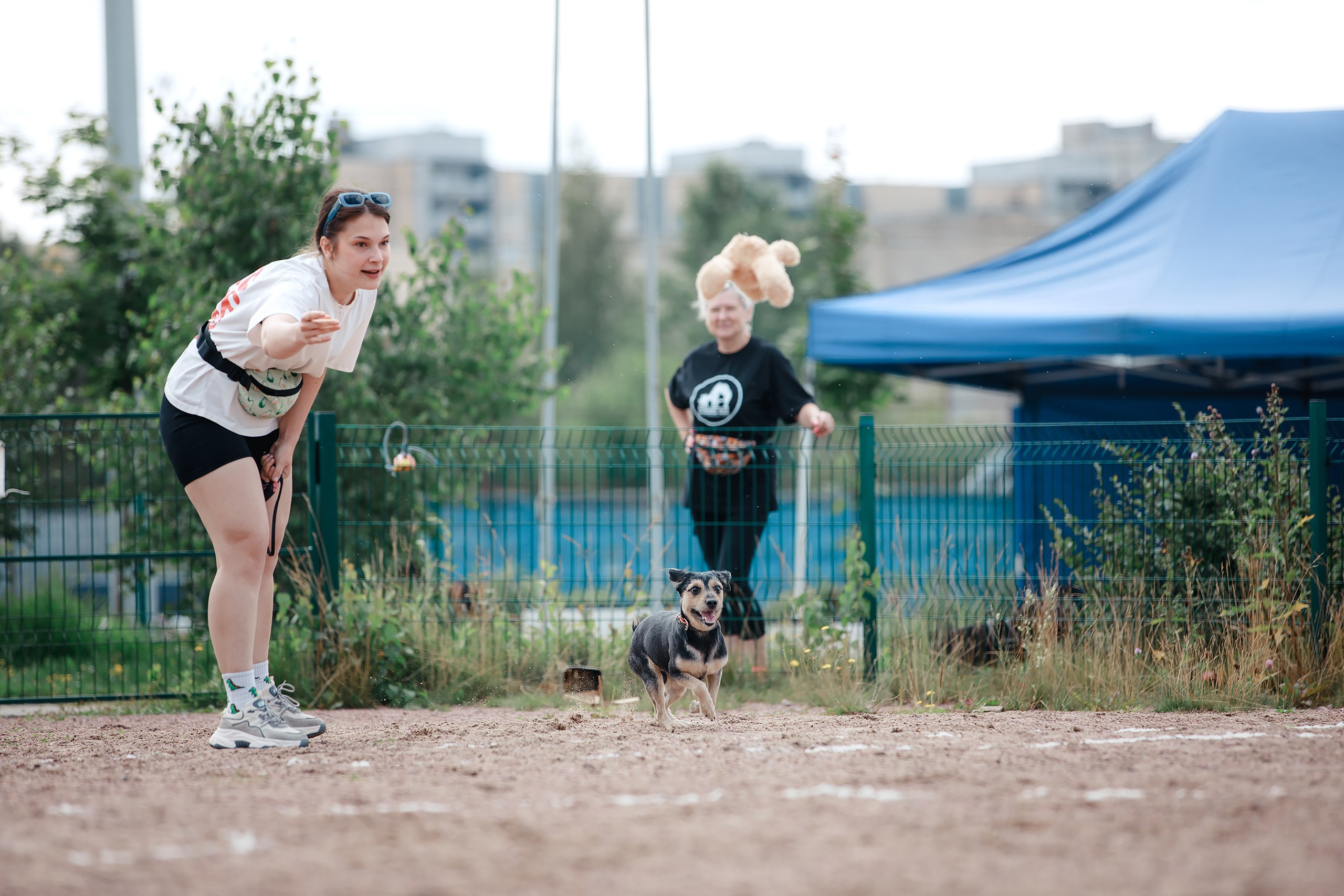 Питч&Гоу + веселые старты. Фотограф-анималист Mary Mart — Москва, Питер