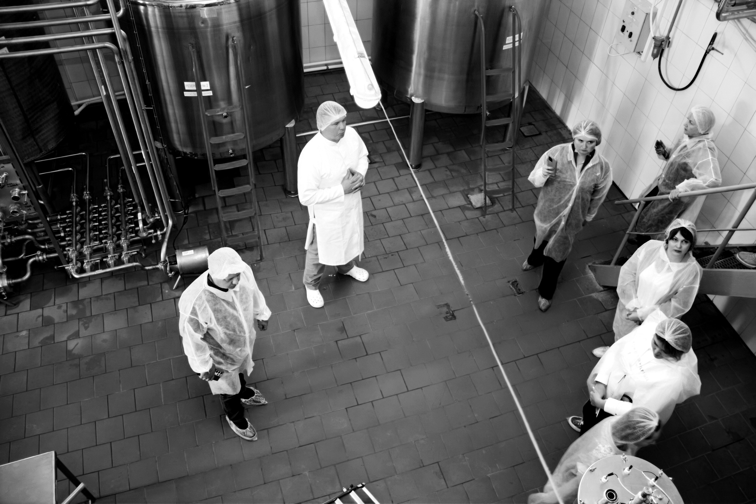 Экскурсия «Агроферма-Катынь». Фотограф в Смоленске Ася Польшина