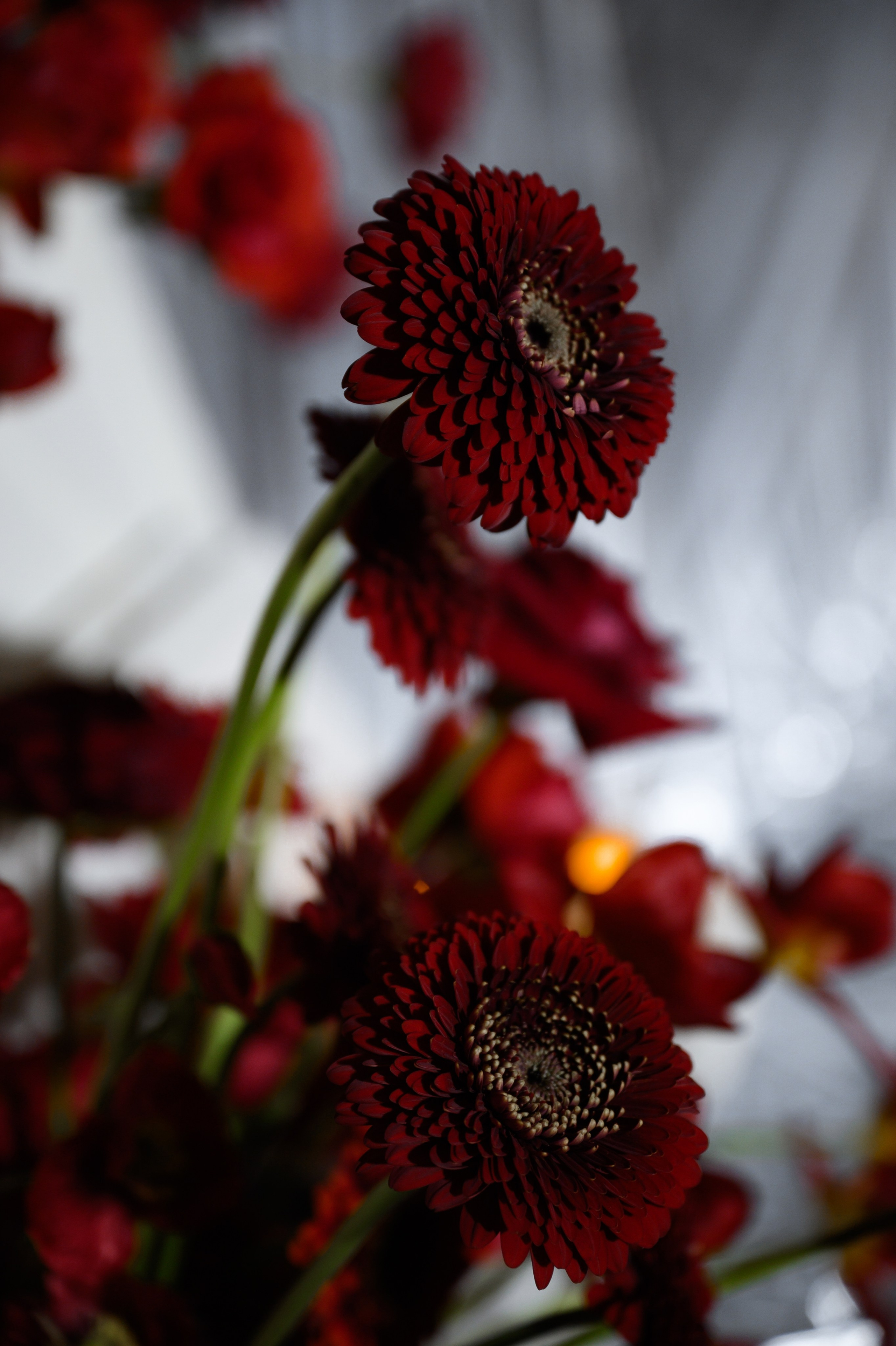 12.11.2024. RETOUCH-HOUSE