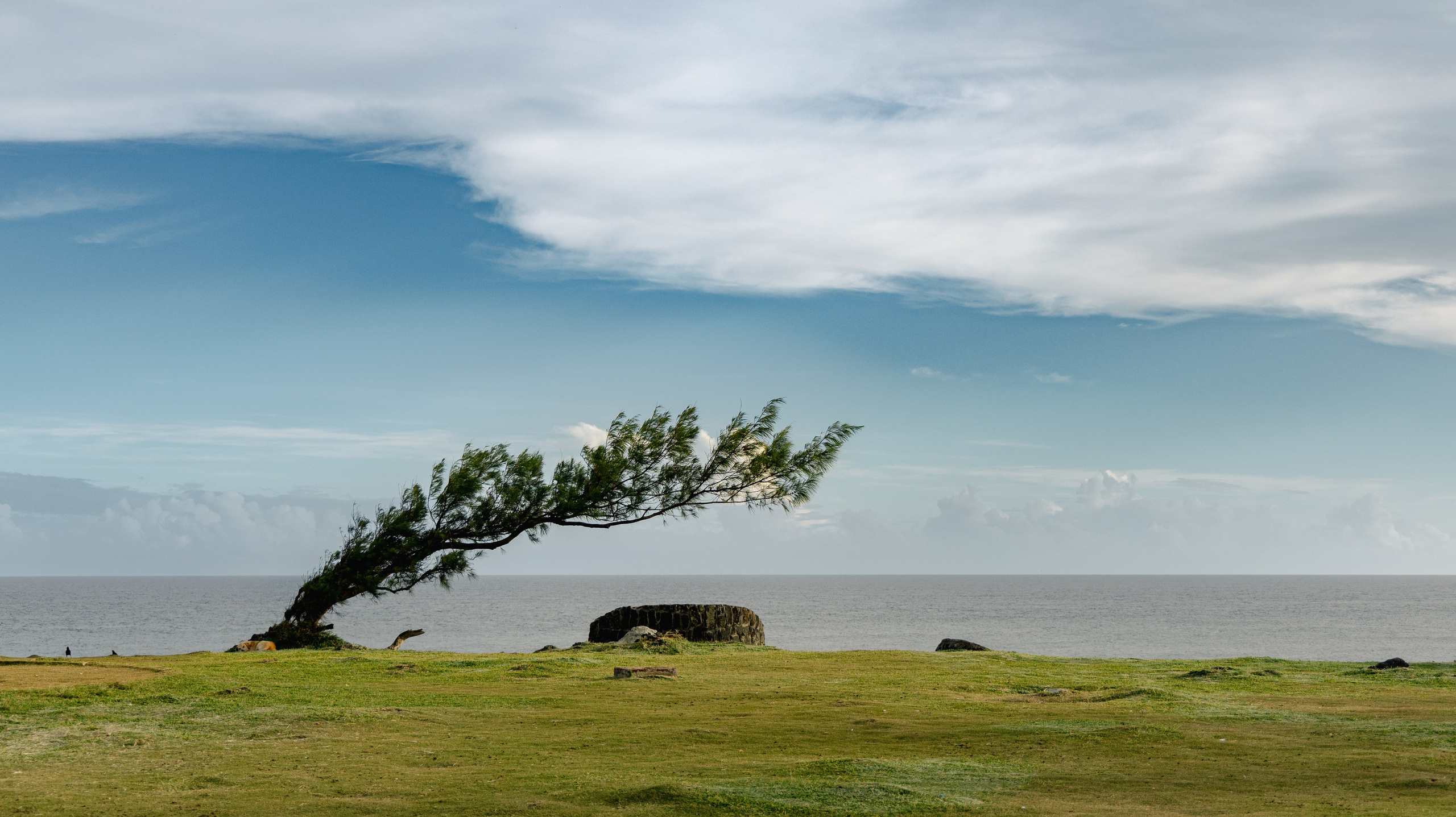 Путешествия. Оператор Мария Боровкова