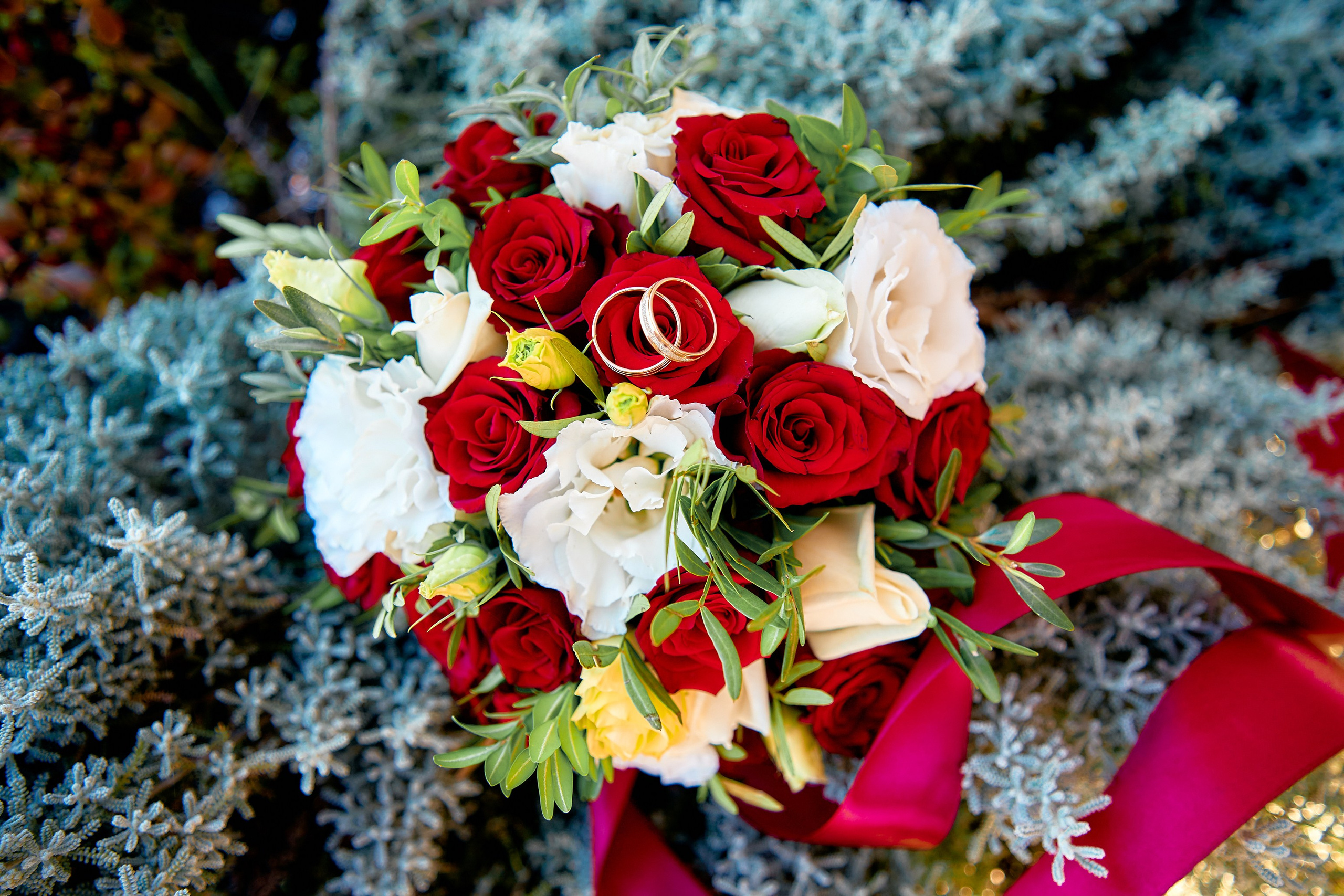 Свадебная фотография. Москва. Краснодар. Петр Ступень. Свадебное, семейное фото и видео. Москва. Краснодар