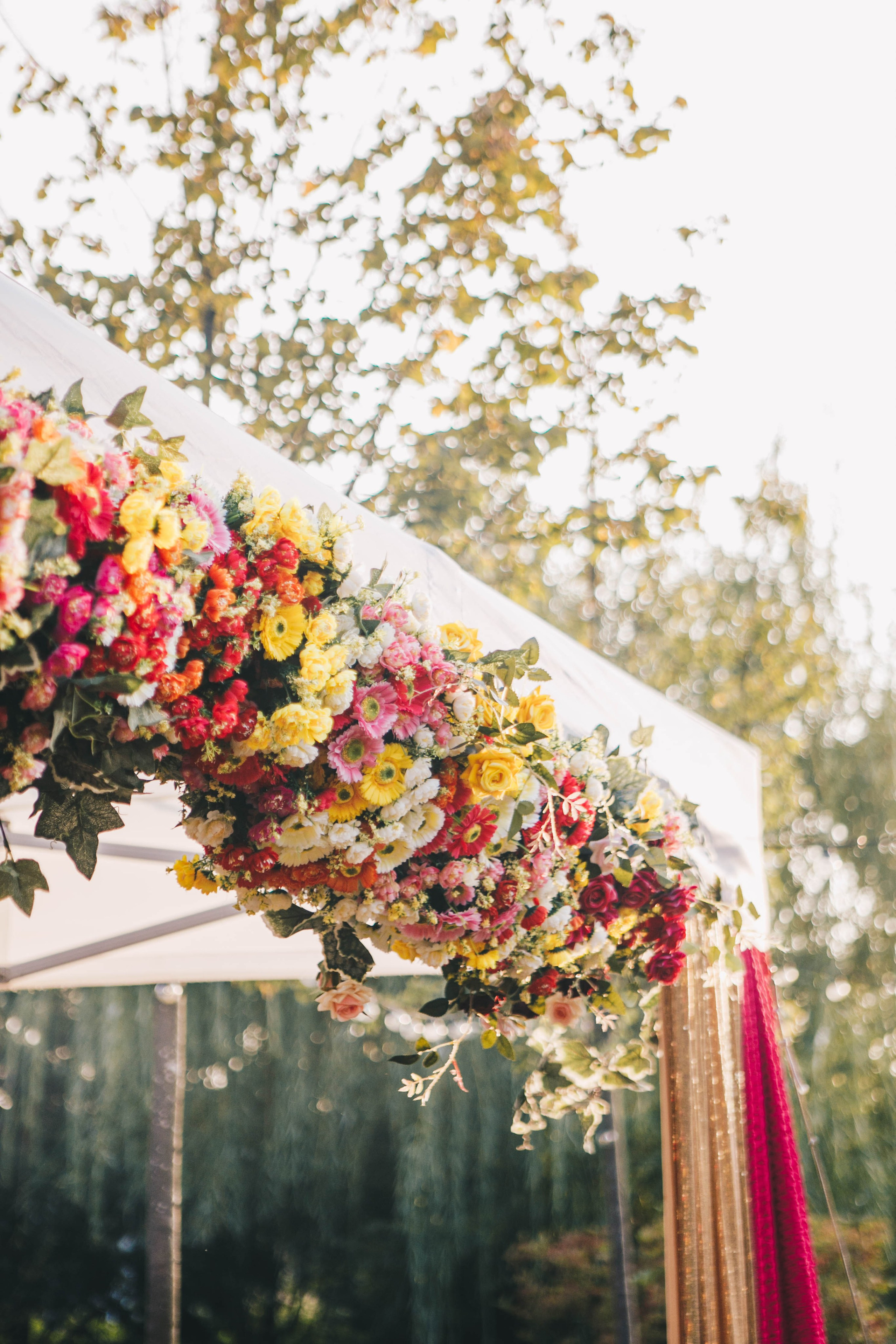 ВИВАХА. Фотограф Лебедева Наталья