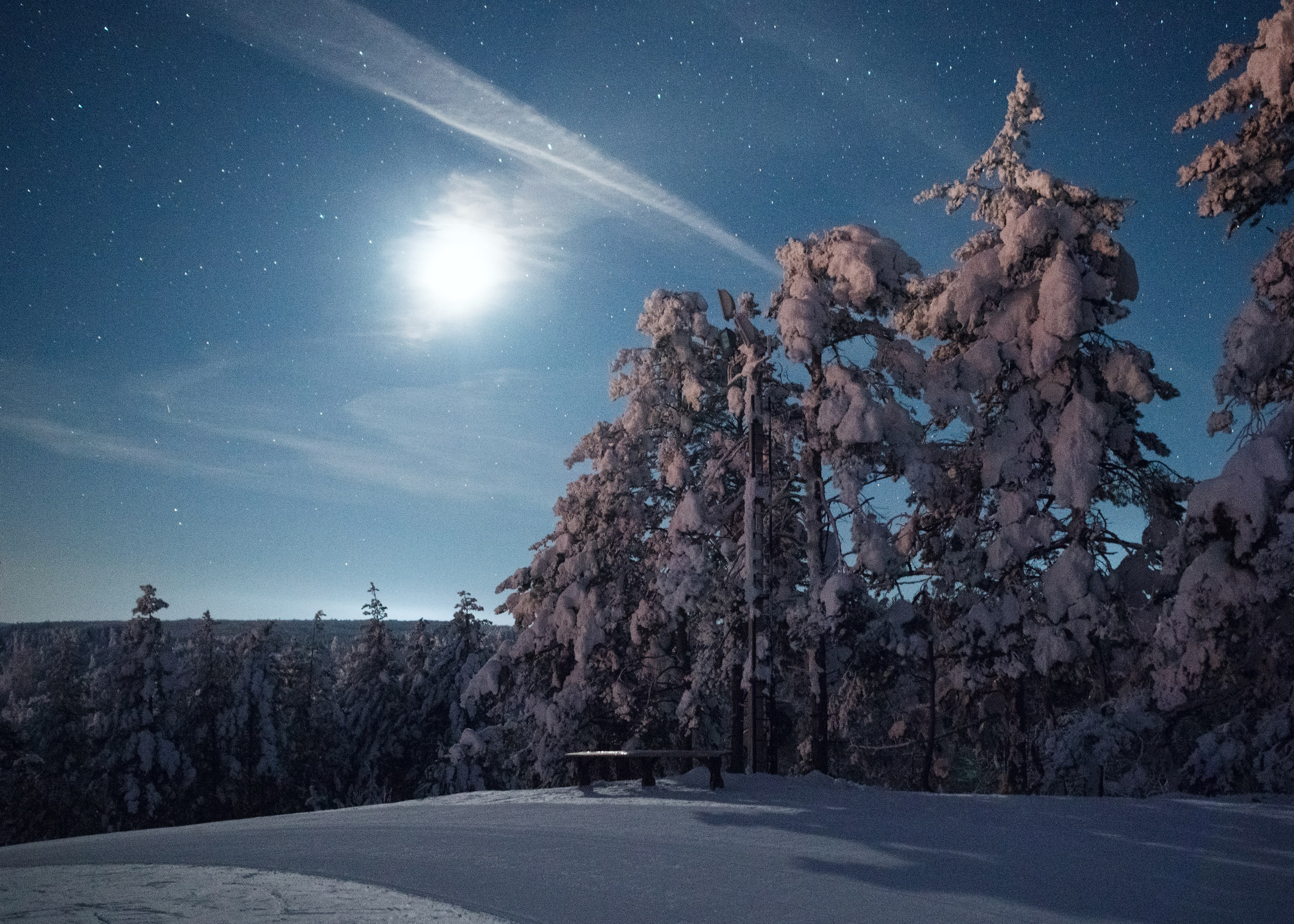 Sky full of stars. Фотограф в Санкт-Петербурге Мария Мельникова