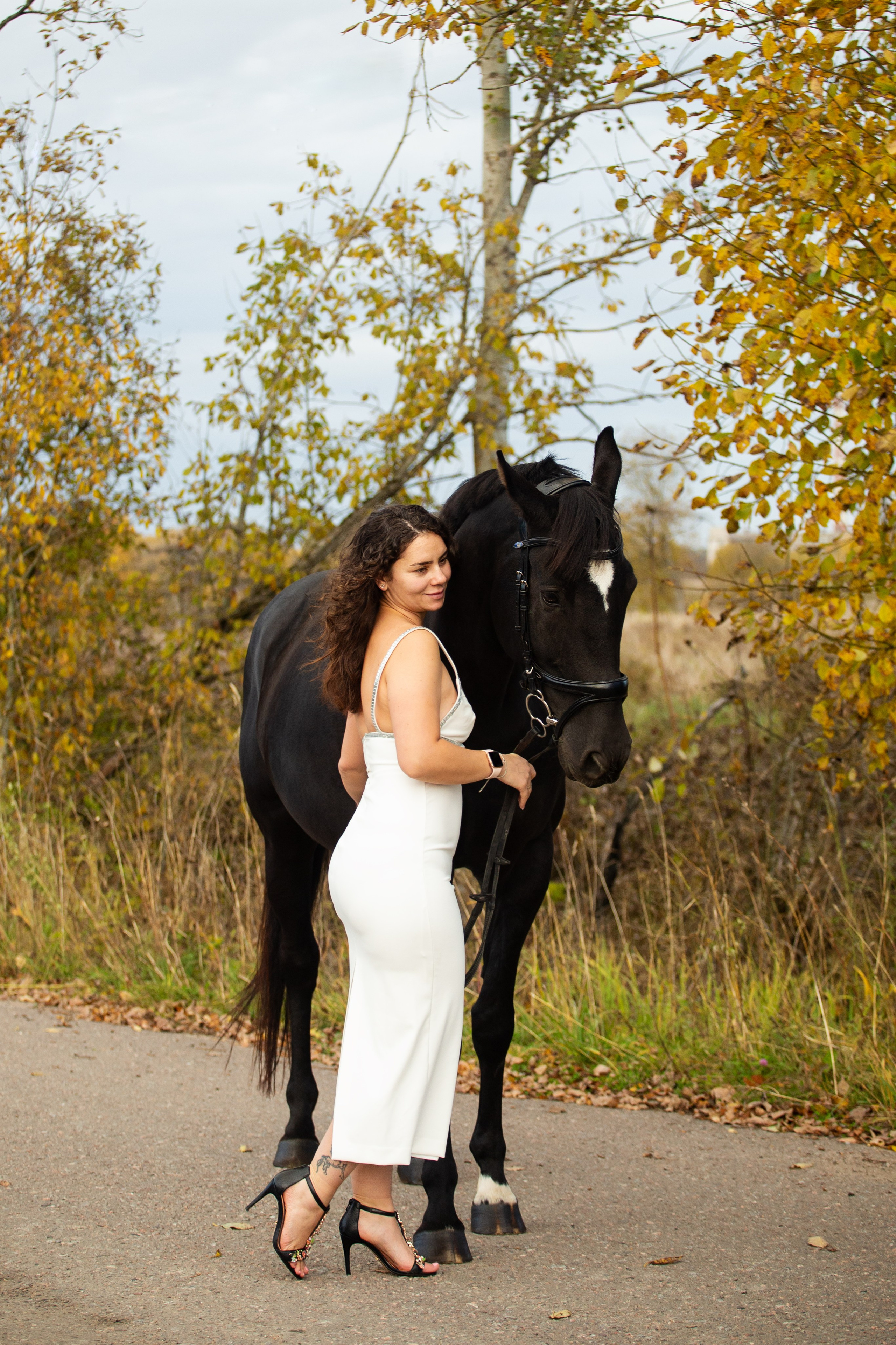 Конные фотосессии (съёмки с лошадьми). Главная