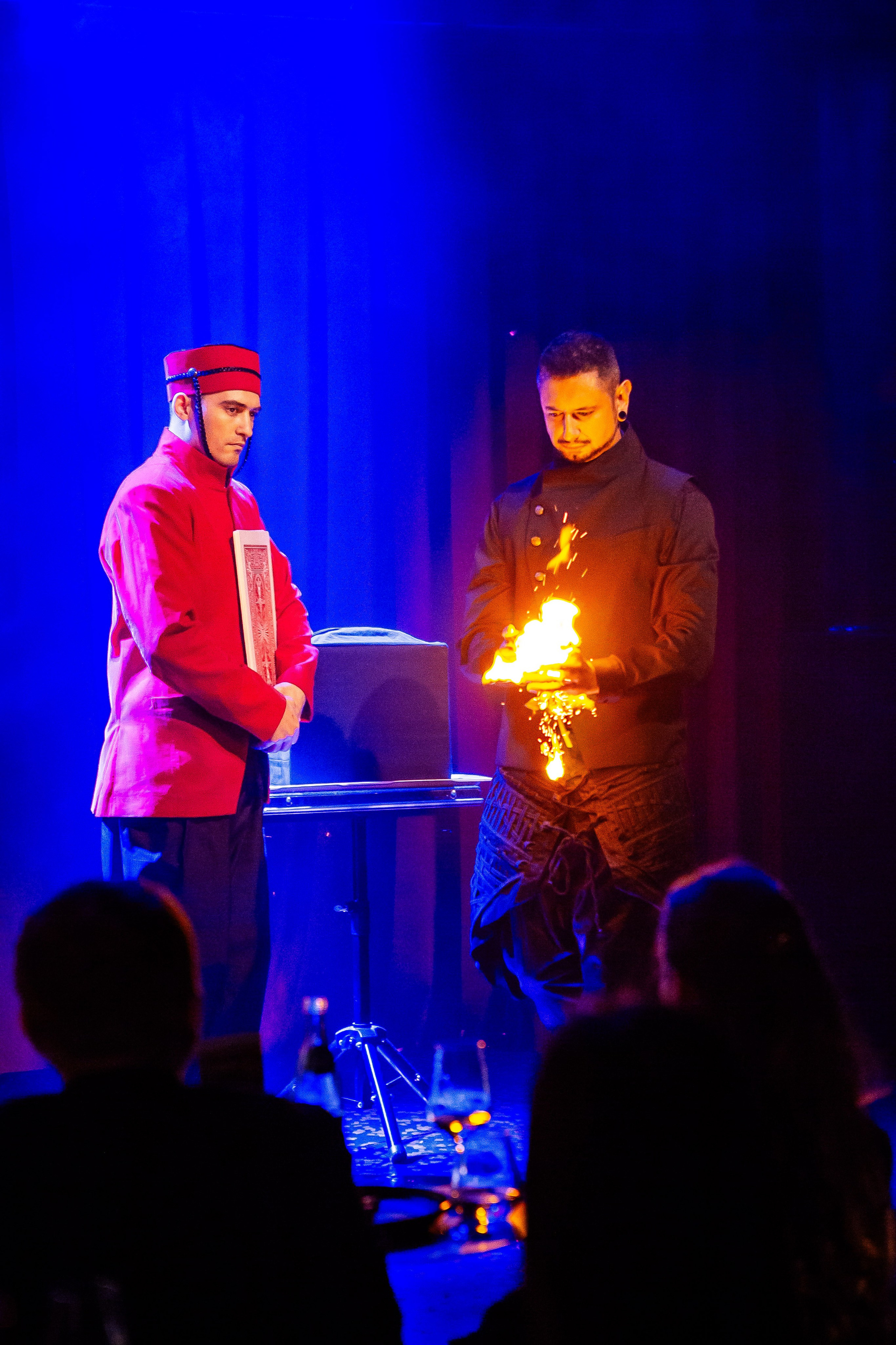 Цирковое шоу. Видеограф Добромыслов