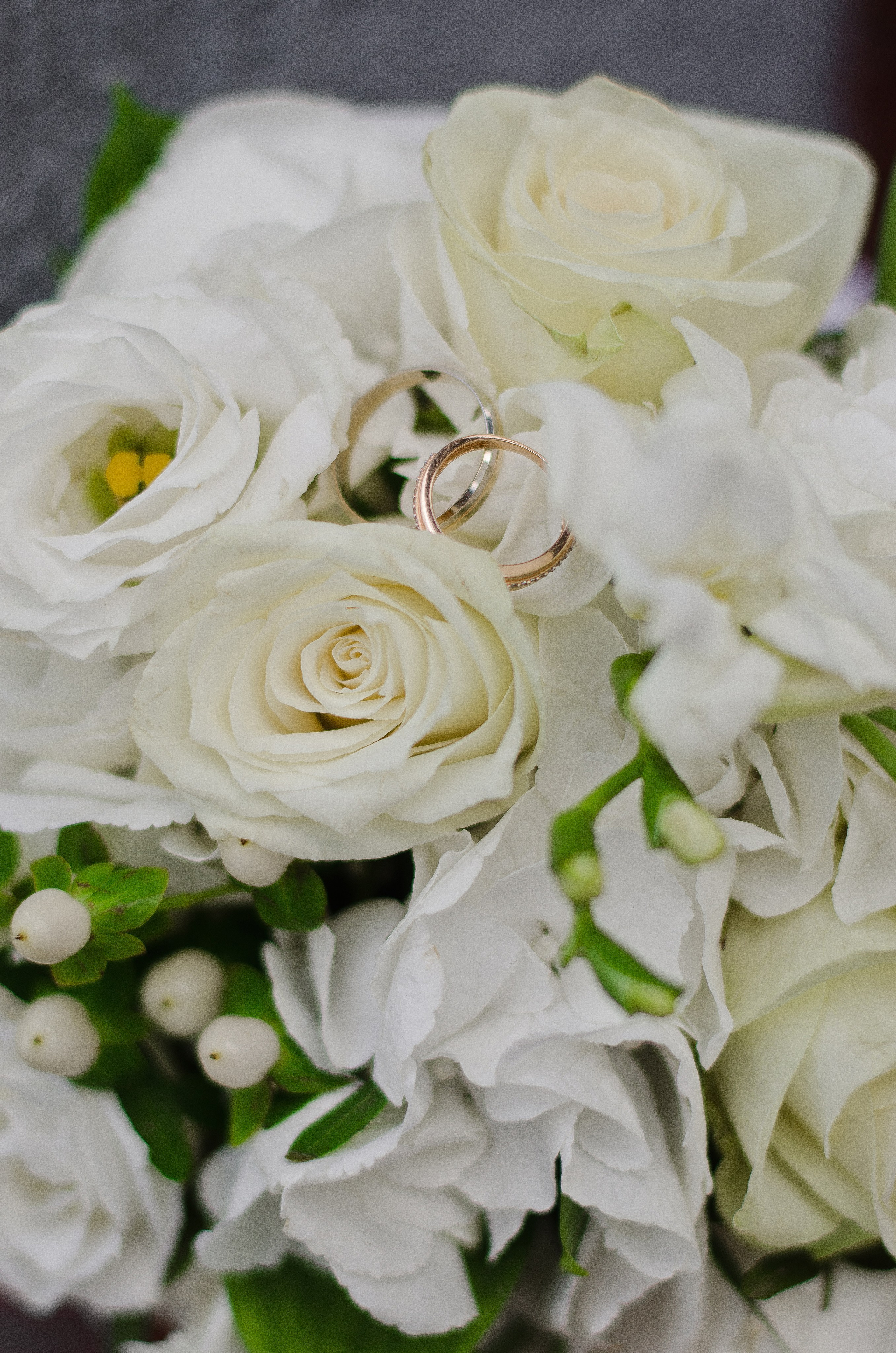 Y&D. Фотограф в Кемерово, Ольга Гаврилова